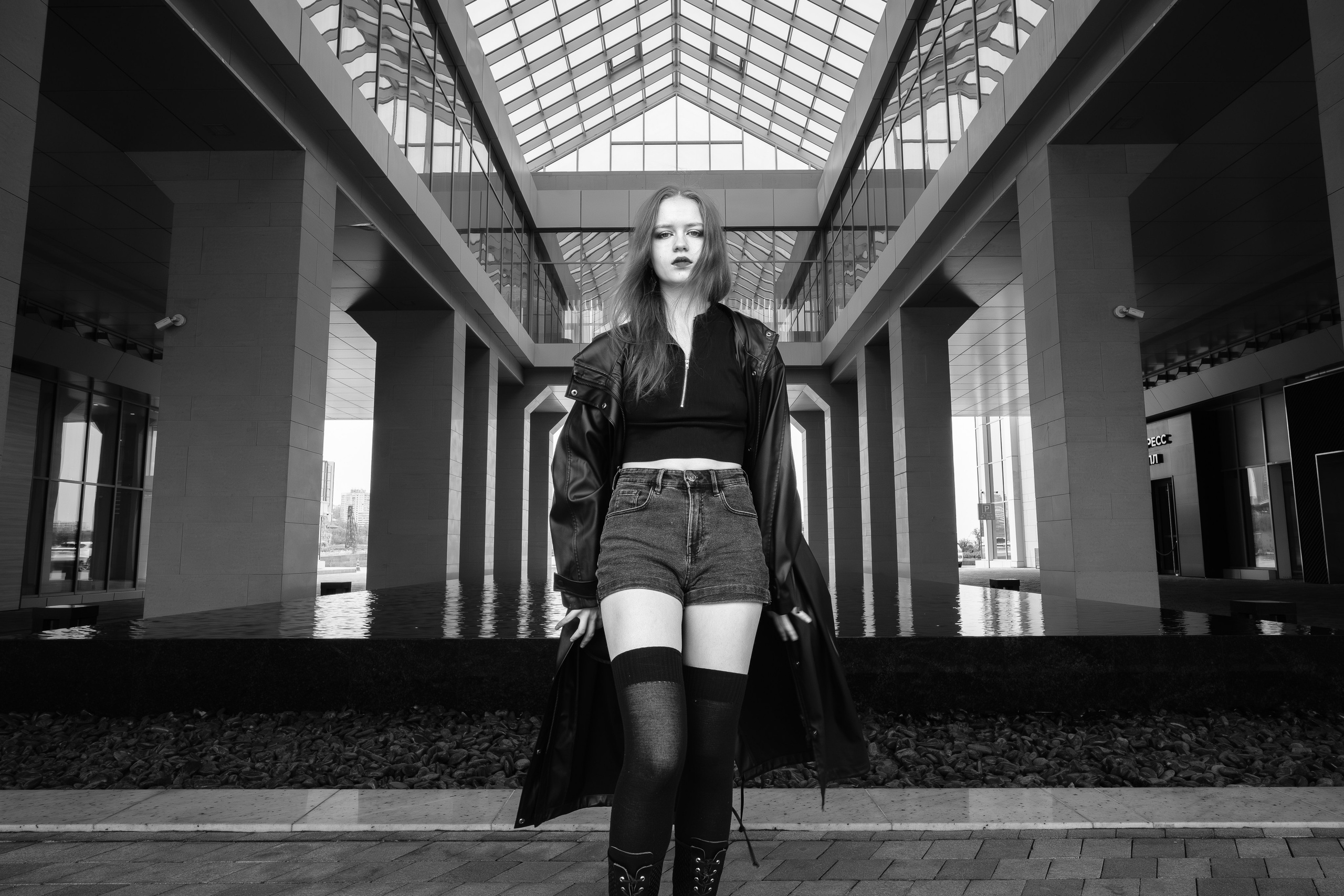 The grotesque. Aleksandr Schafft