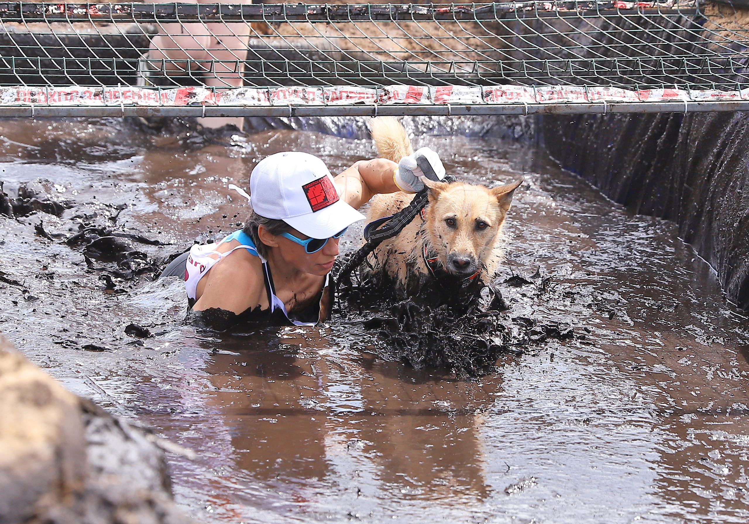 Хвостатый драйв. Семейный и детский фотограф в Москве и МО Елена Москвичева