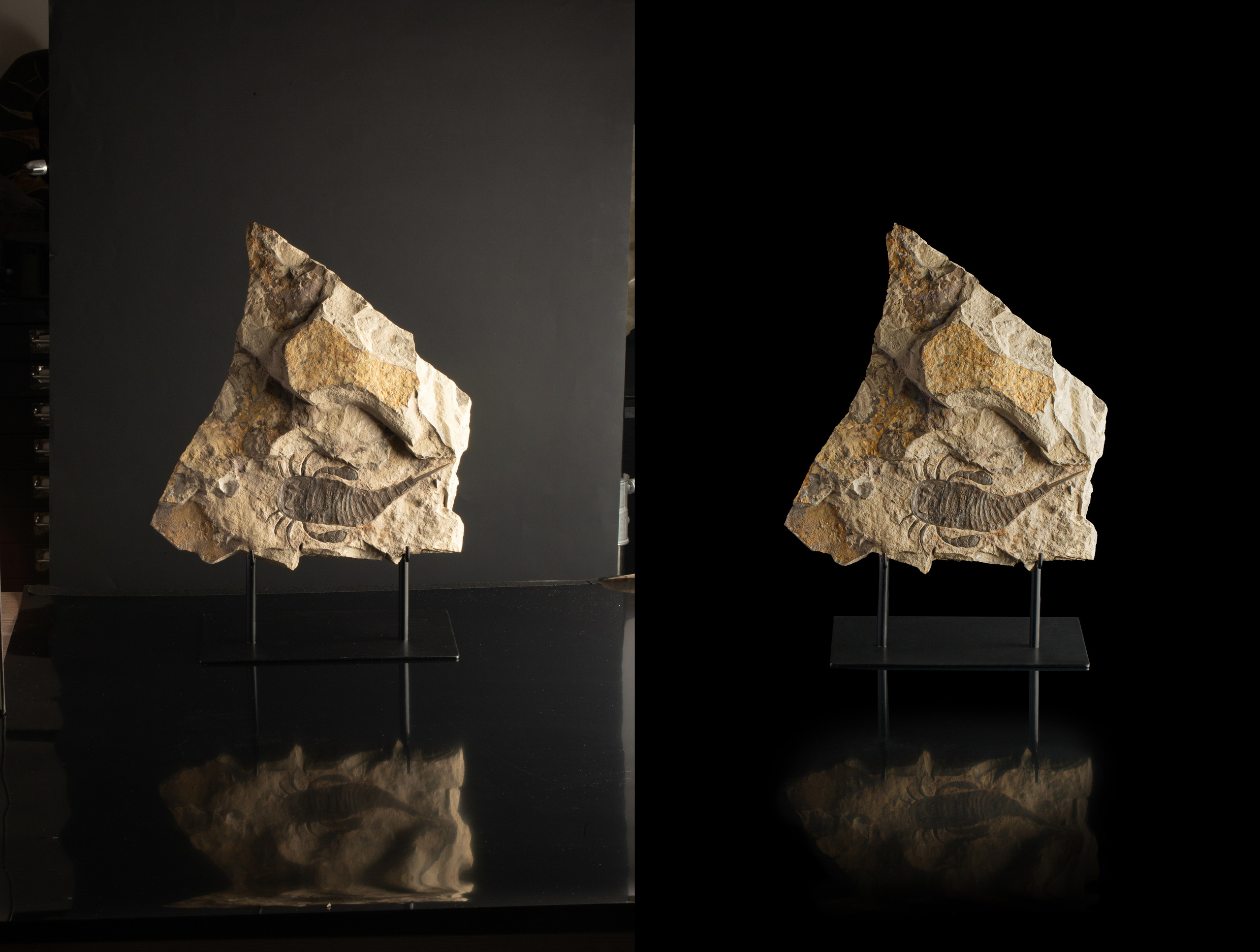 Профессиональная обработка натуральных камней, минералов и ископаемых | Студия SVITHART