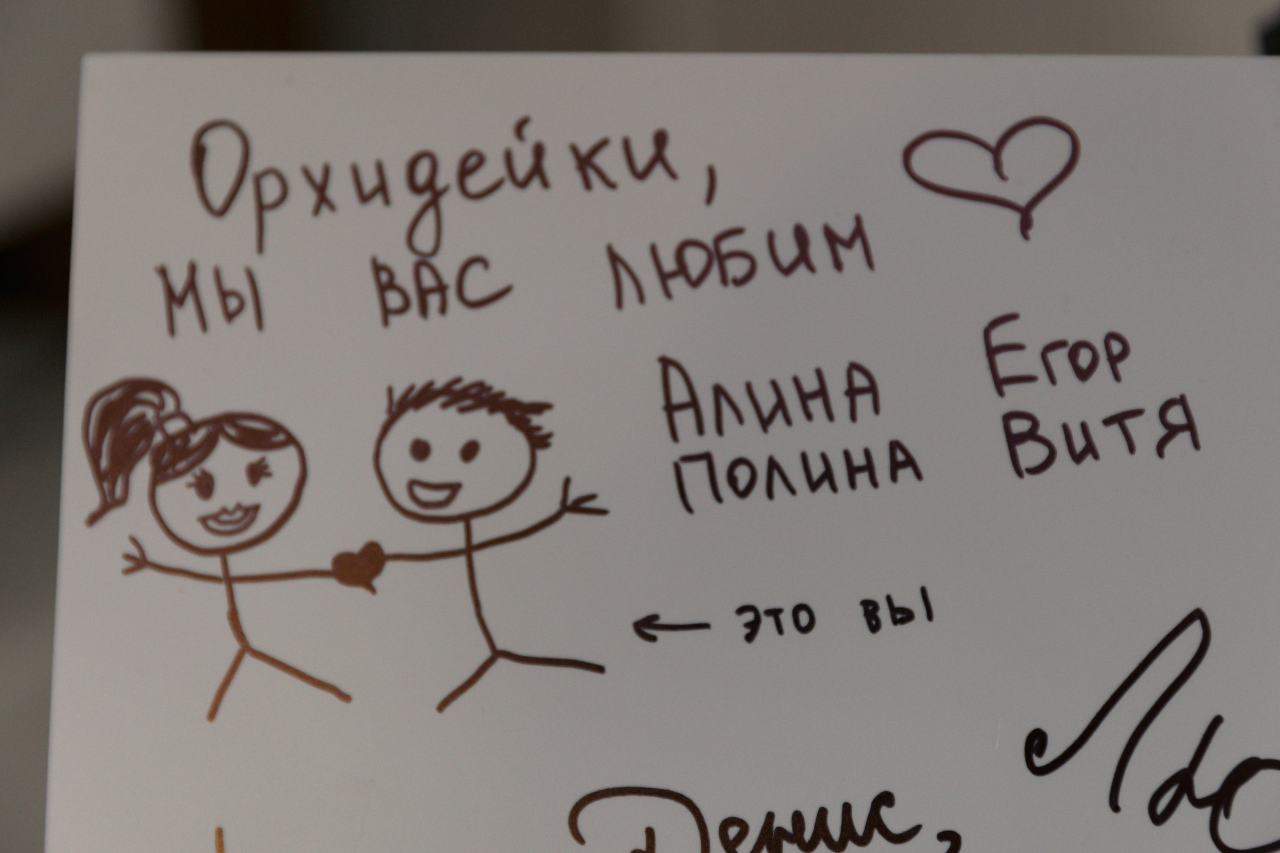 Денис и Алина, 5/09/2024. Свадебный  и семейный фотограф в Краснодаре