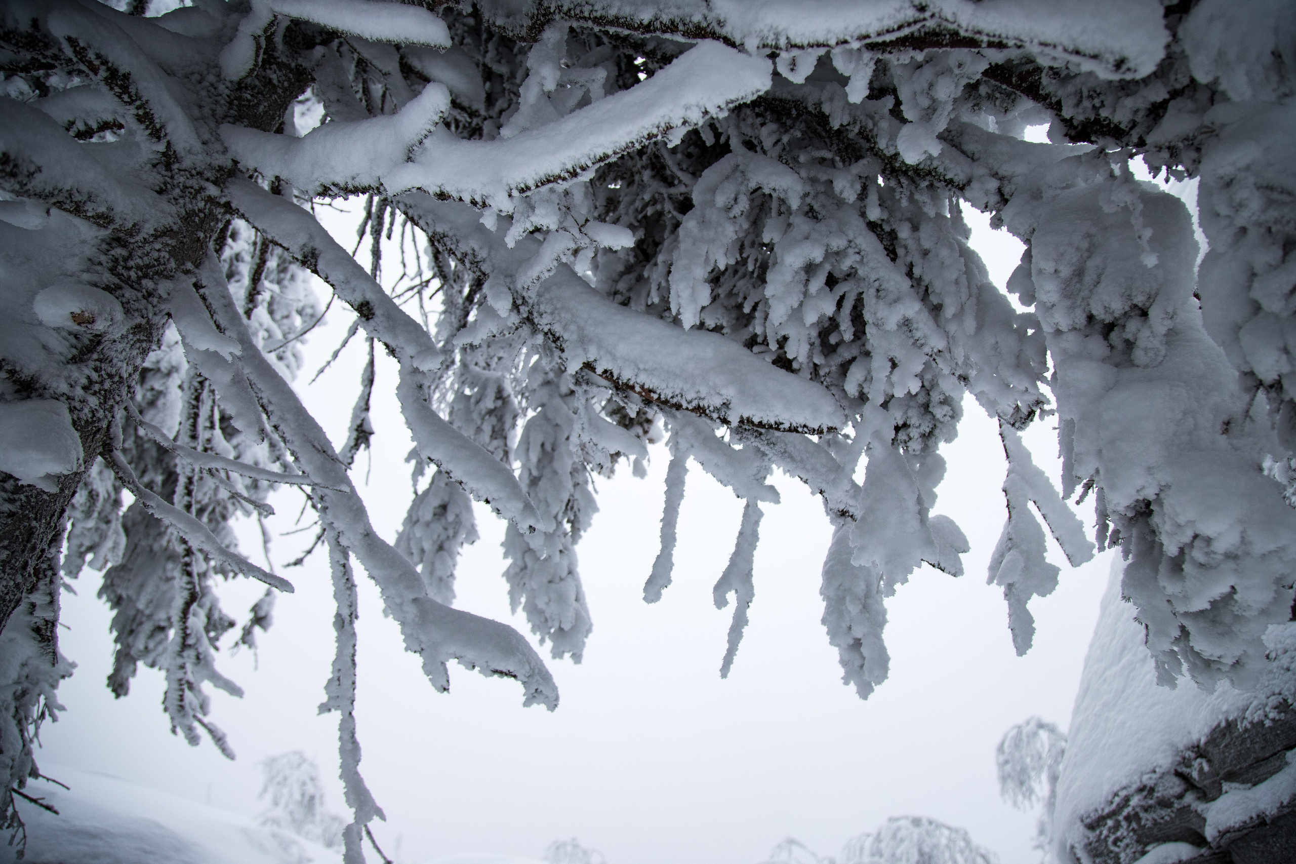 Report: Пермский край зимой. Фотограф в Перми Любовь Огородова | Авторские туры