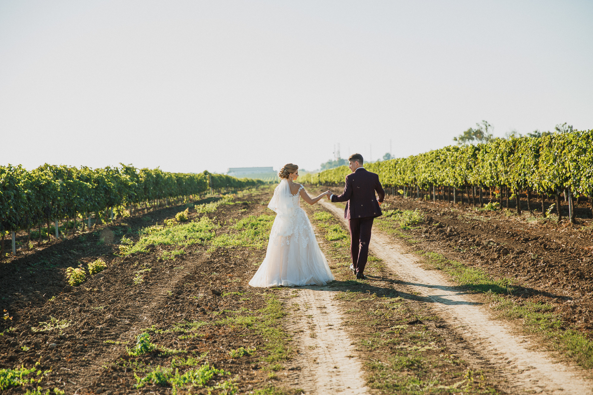 Renatphoto-Пример свадебных фотографий в базовой обработке. Профессиональная фотосъёмка интерьеров, предметная фотосессия еды для меню г. Анапа