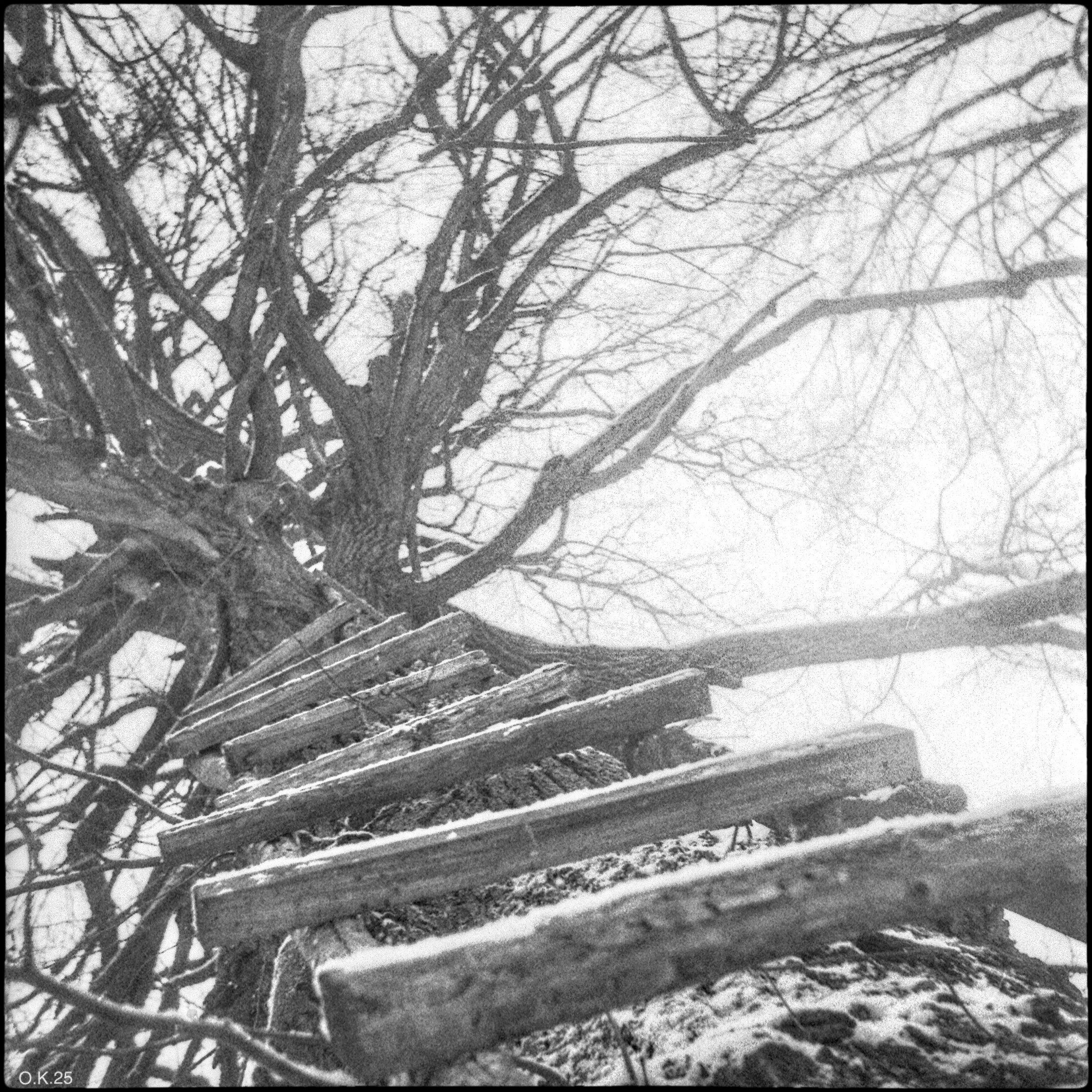 Пленочная фотография Олег Кузнецов. Artkapella|Олег Кузнецов