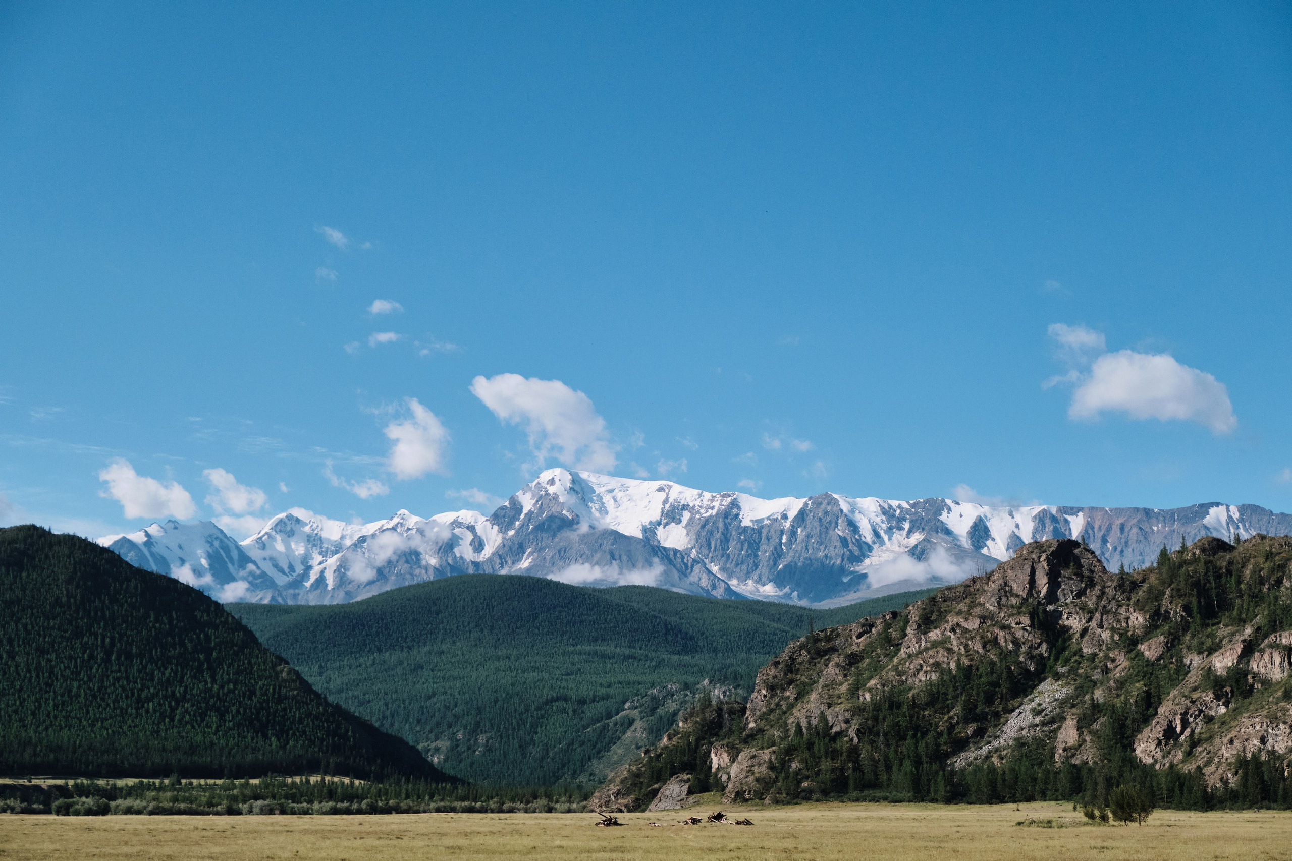 Галерея. Фотограф Александр Герасимов|Барнаул