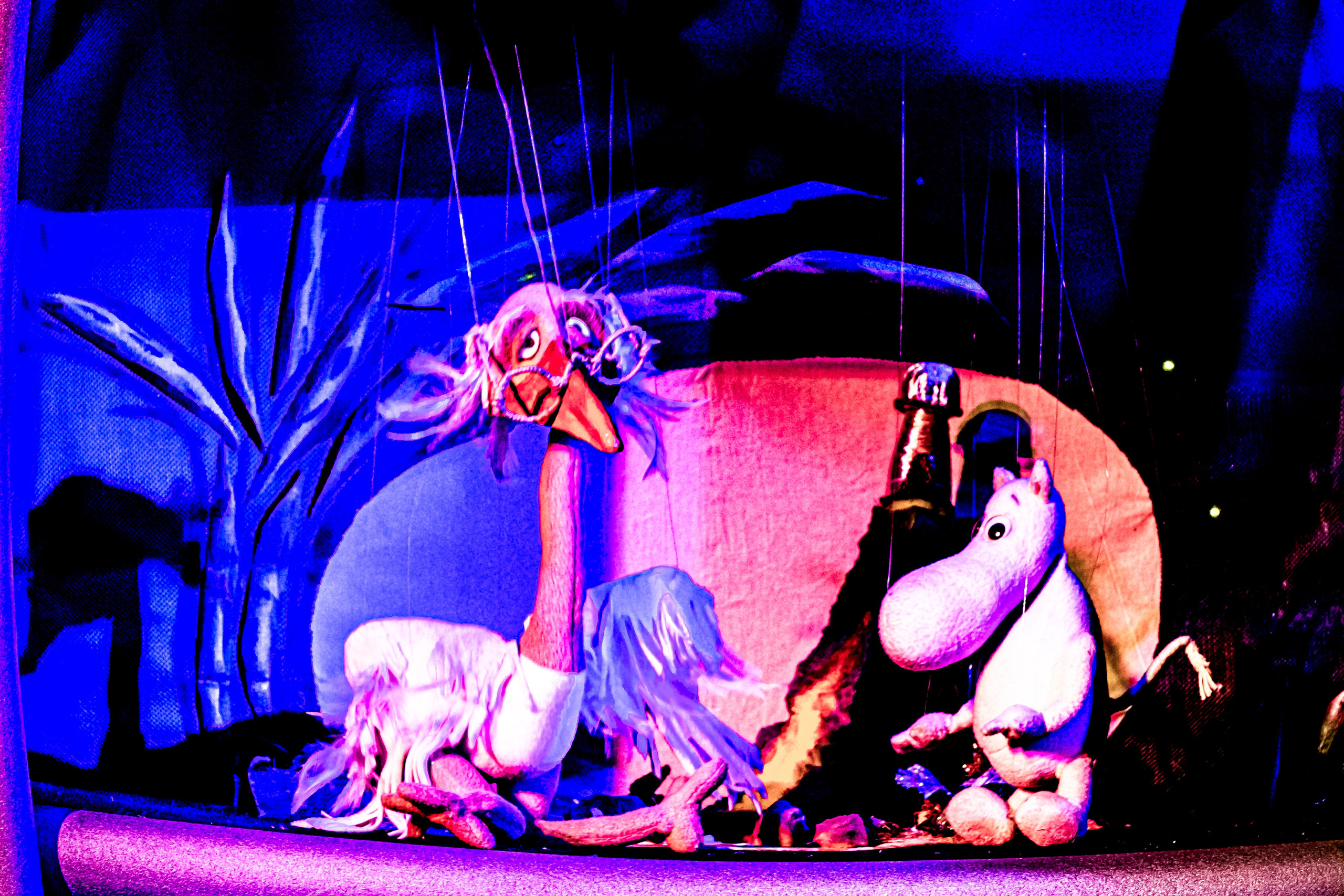 «Муми тролли и большое наводнение». Фотограф в Сочи Юрий Шептаев