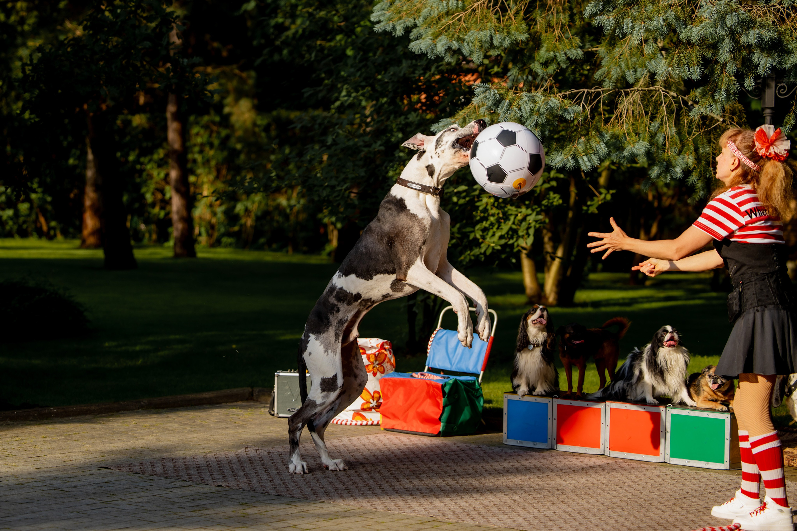Детские праздники. Семейный фотограф в Москве