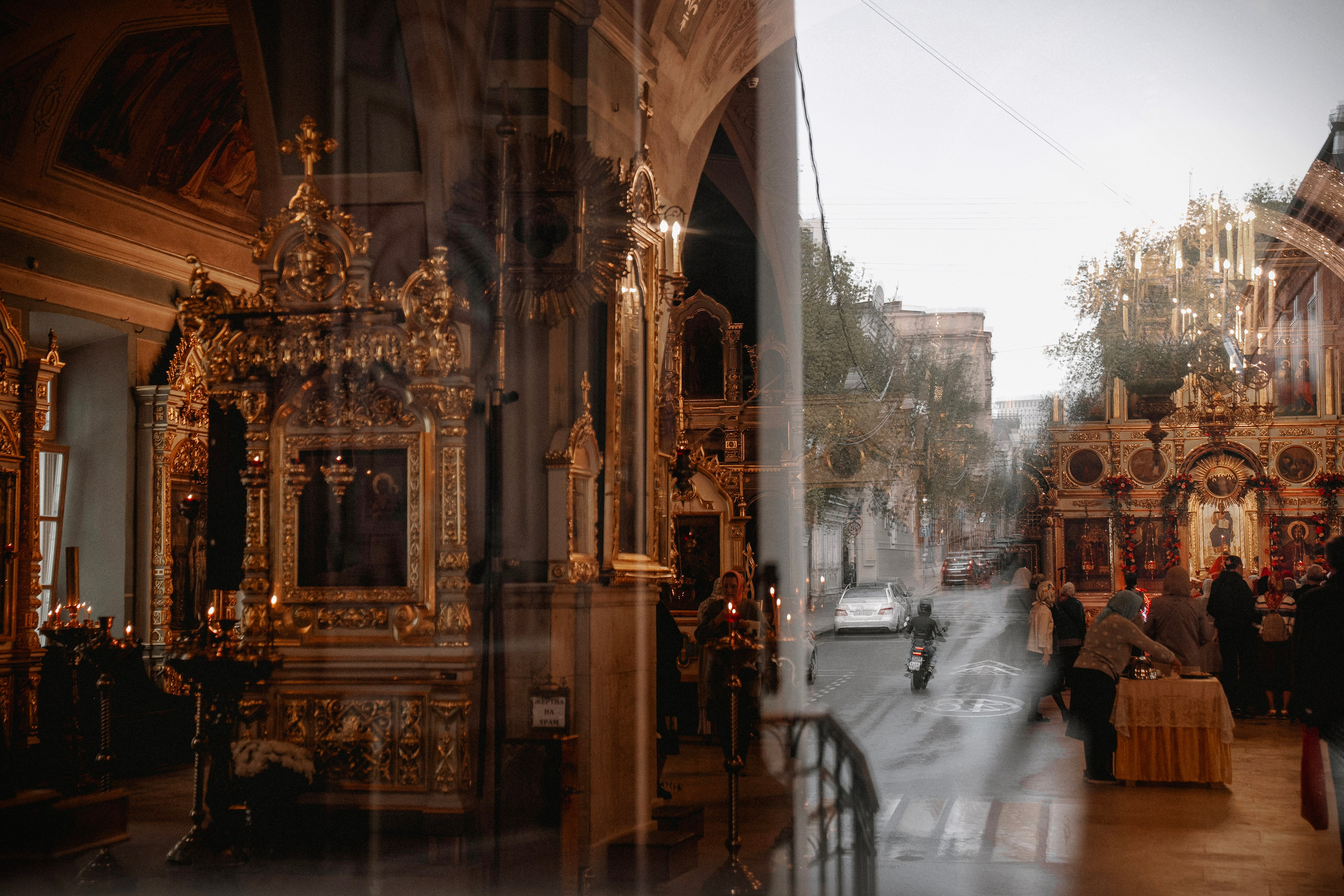 Фотограф Елена Лунева