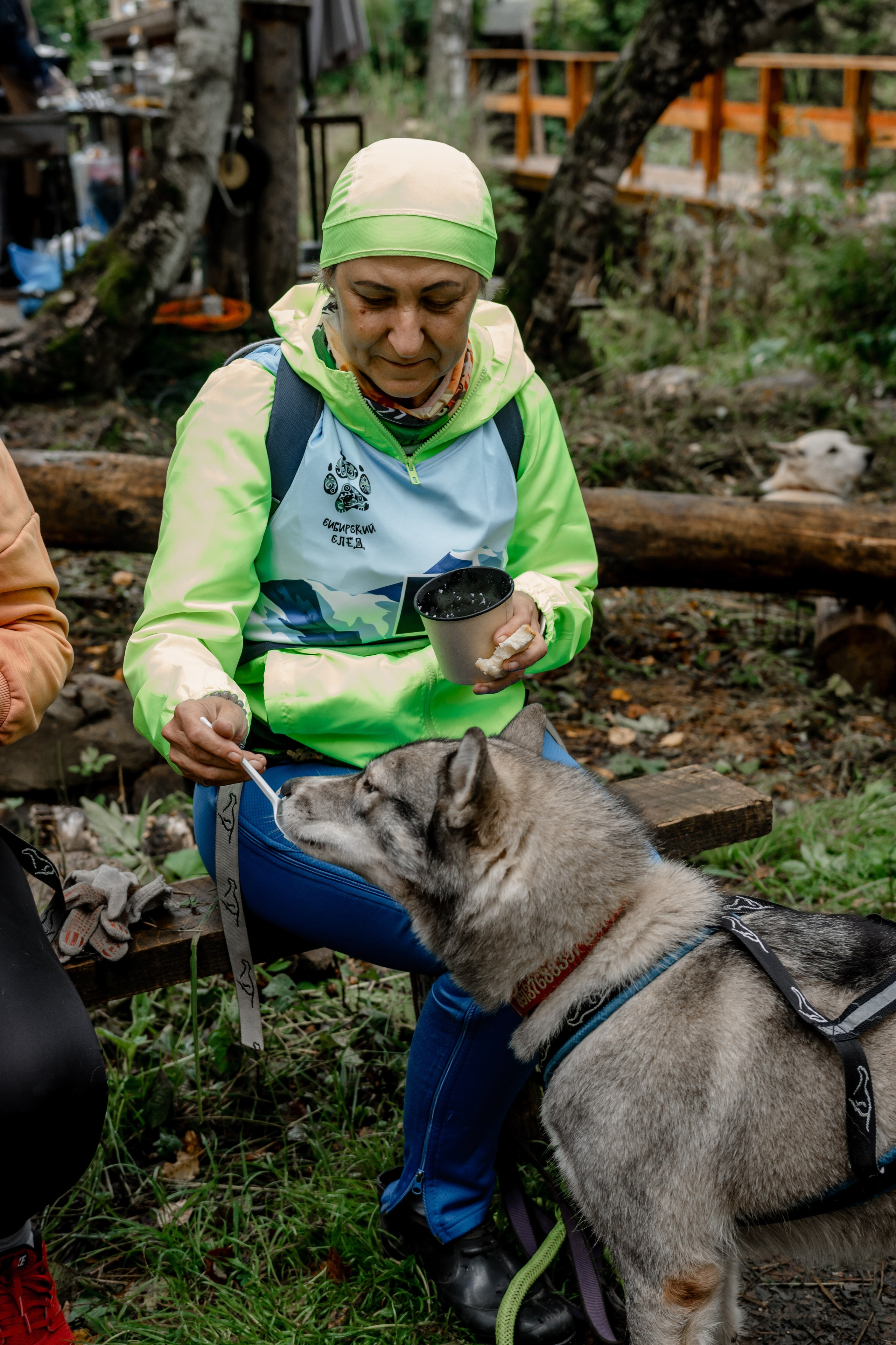 Дог-треккинг