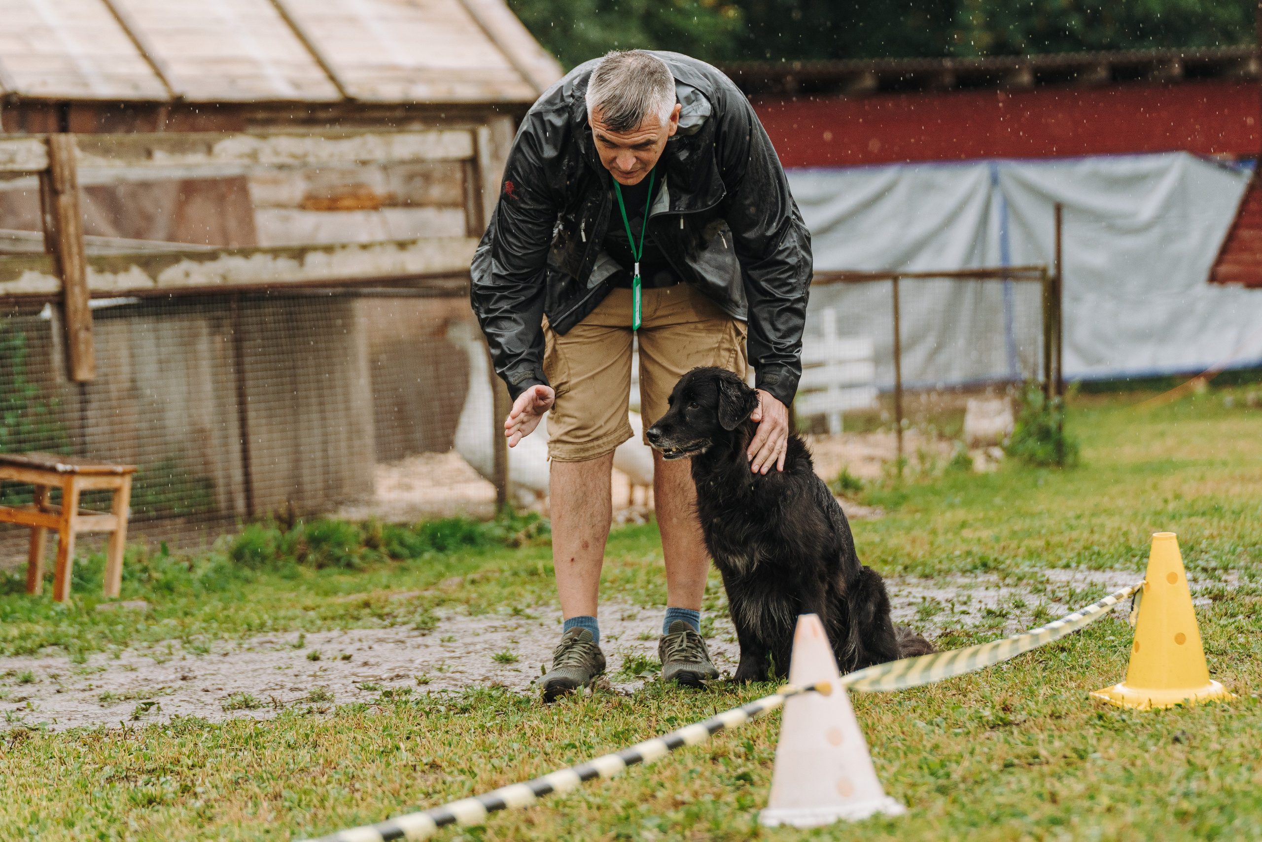 Соревнования по ноузворку в Новожилово. Фотограф анималист в Спб недорого Олеся Майорова
