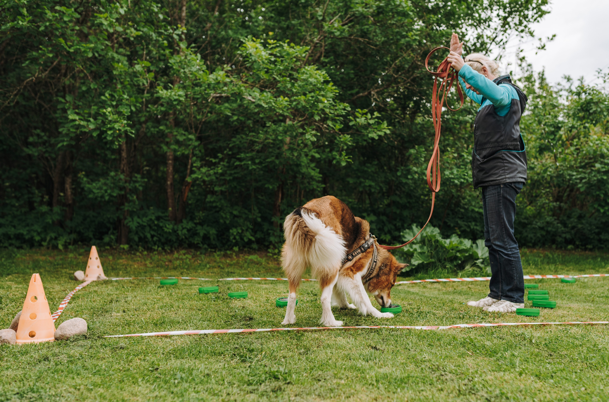Соревнования по ноузворку. Фотограф анималист в Спб недорого Олеся Майорова