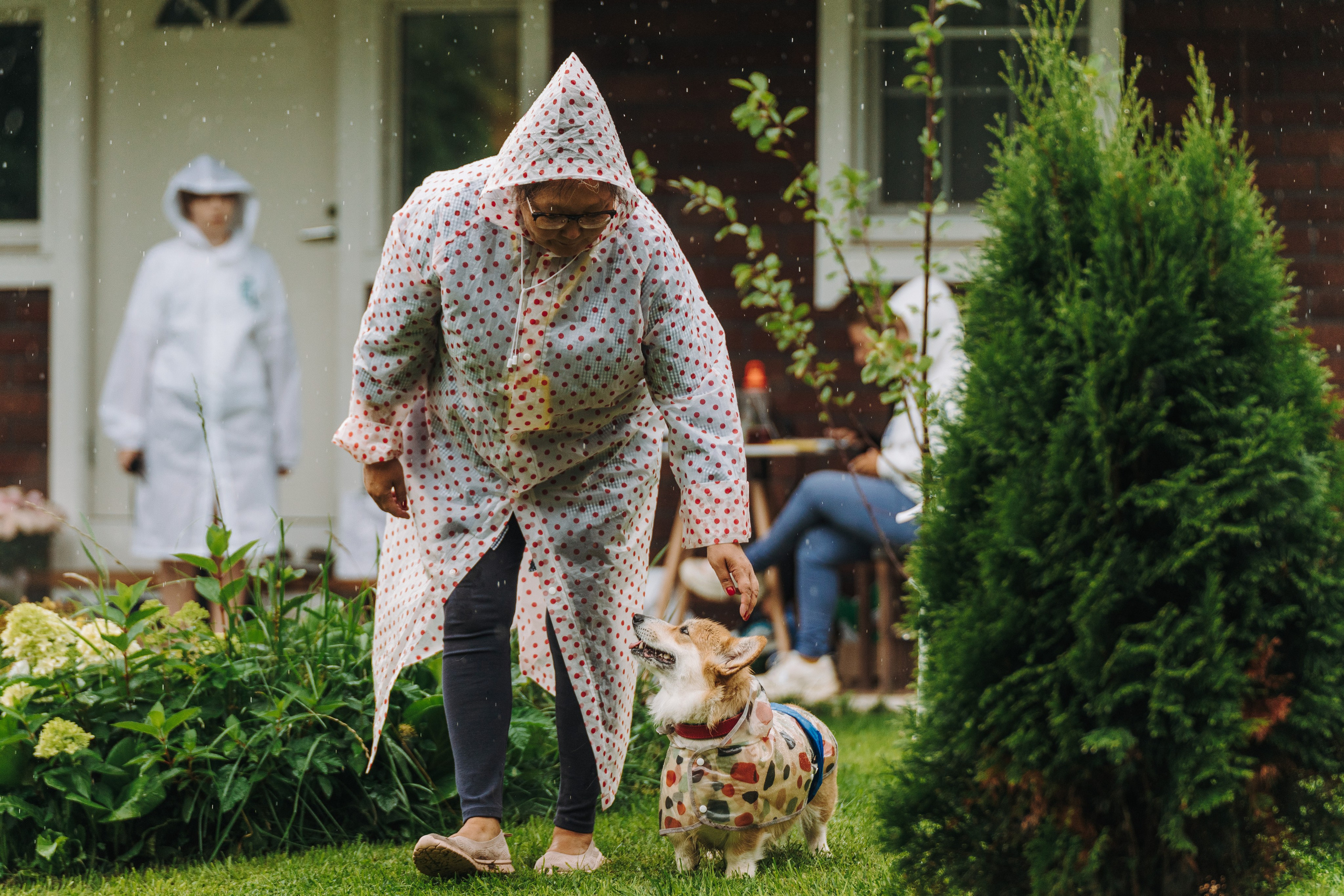 Соревнования по ноузворку в Новожилово. Фотограф анималист в Спб недорого Олеся Майорова