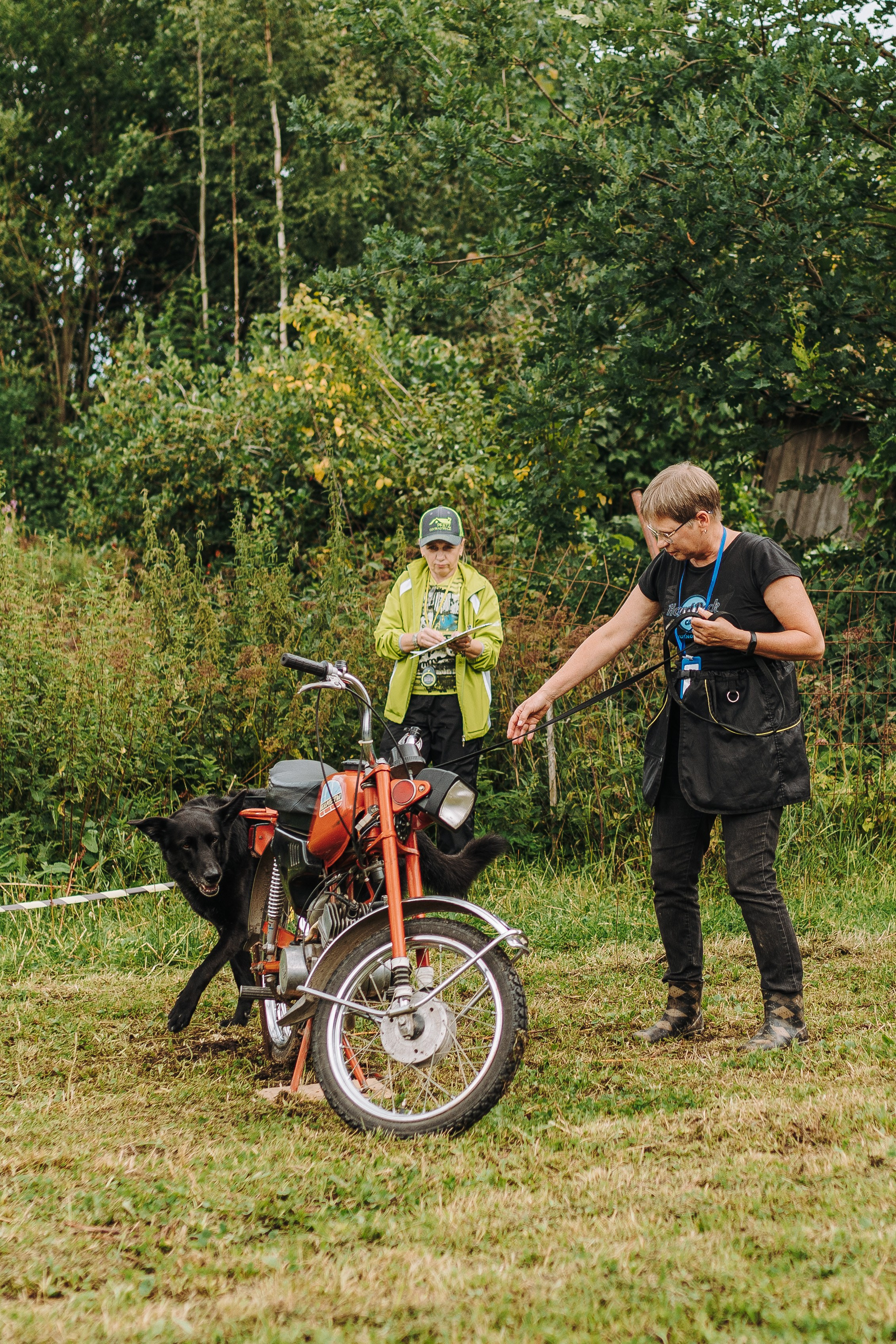 Соревнования по ноузворку в Новожилово. Фотограф анималист в Спб недорого Олеся Майорова