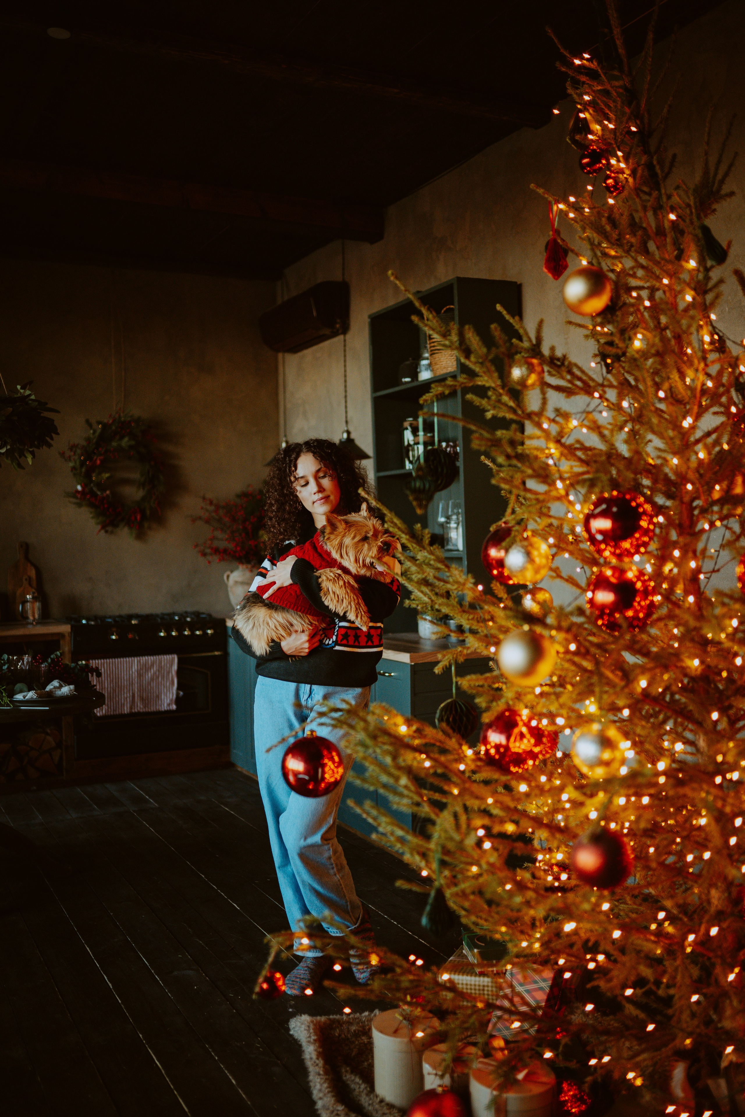 Фотосессия с собакой в студии. Фотограф анималист в Спб недорого Олеся Майорова