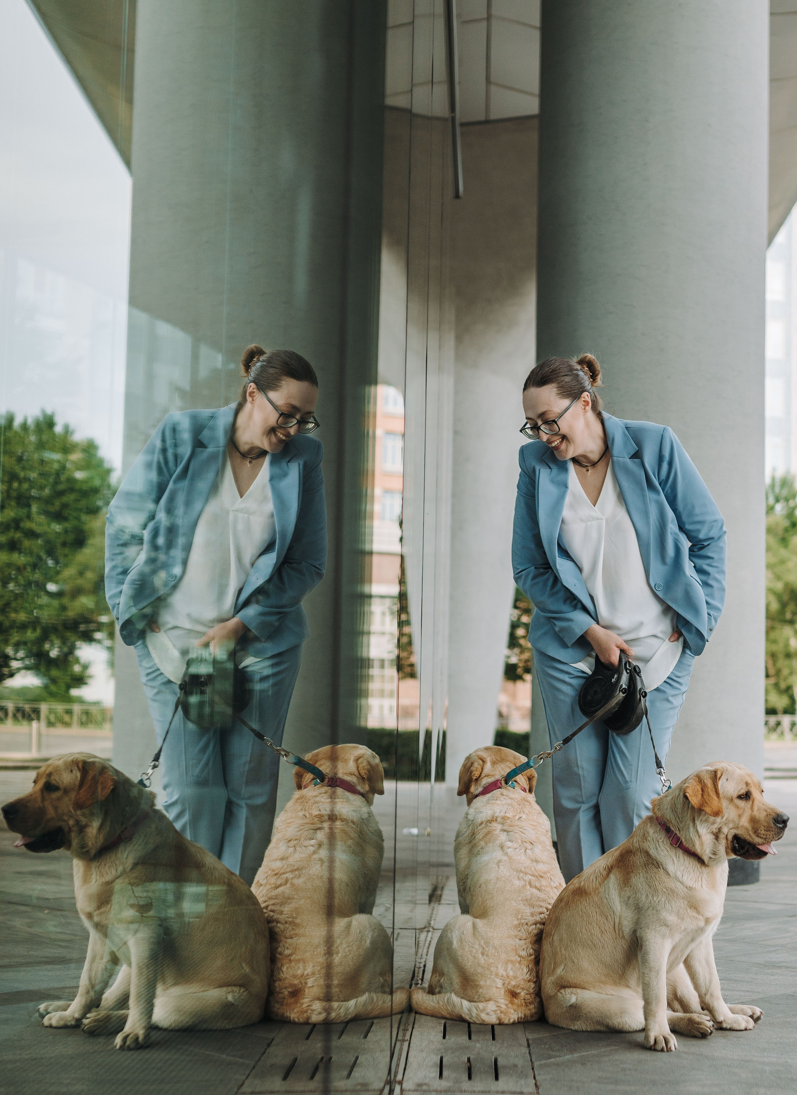 Лабрадоры питомника IRISLAV. Фотограф анималист в Спб недорого Олеся Майорова