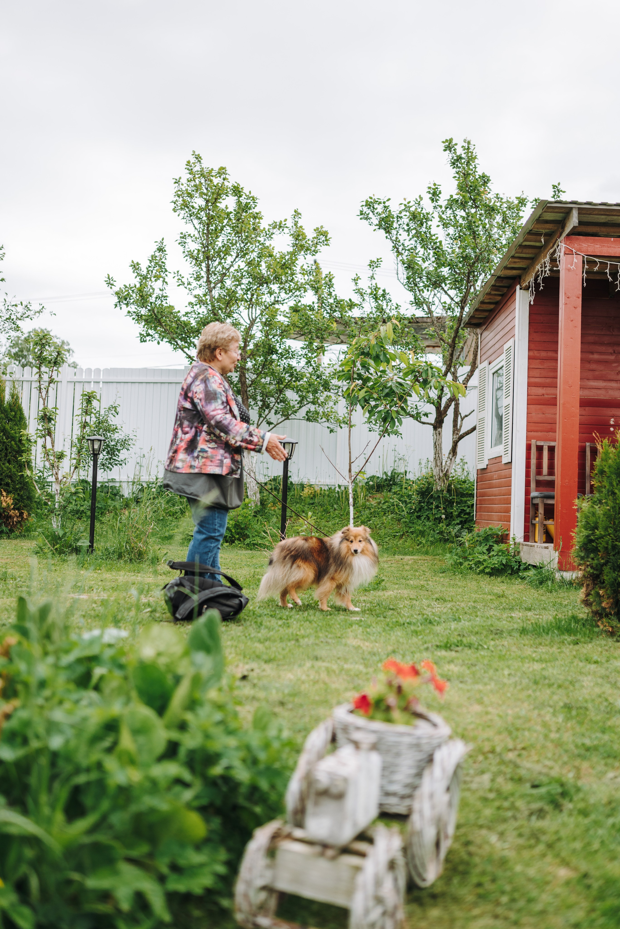 Соревнования по ноузворку. Фотограф анималист в Спб недорого Олеся Майорова