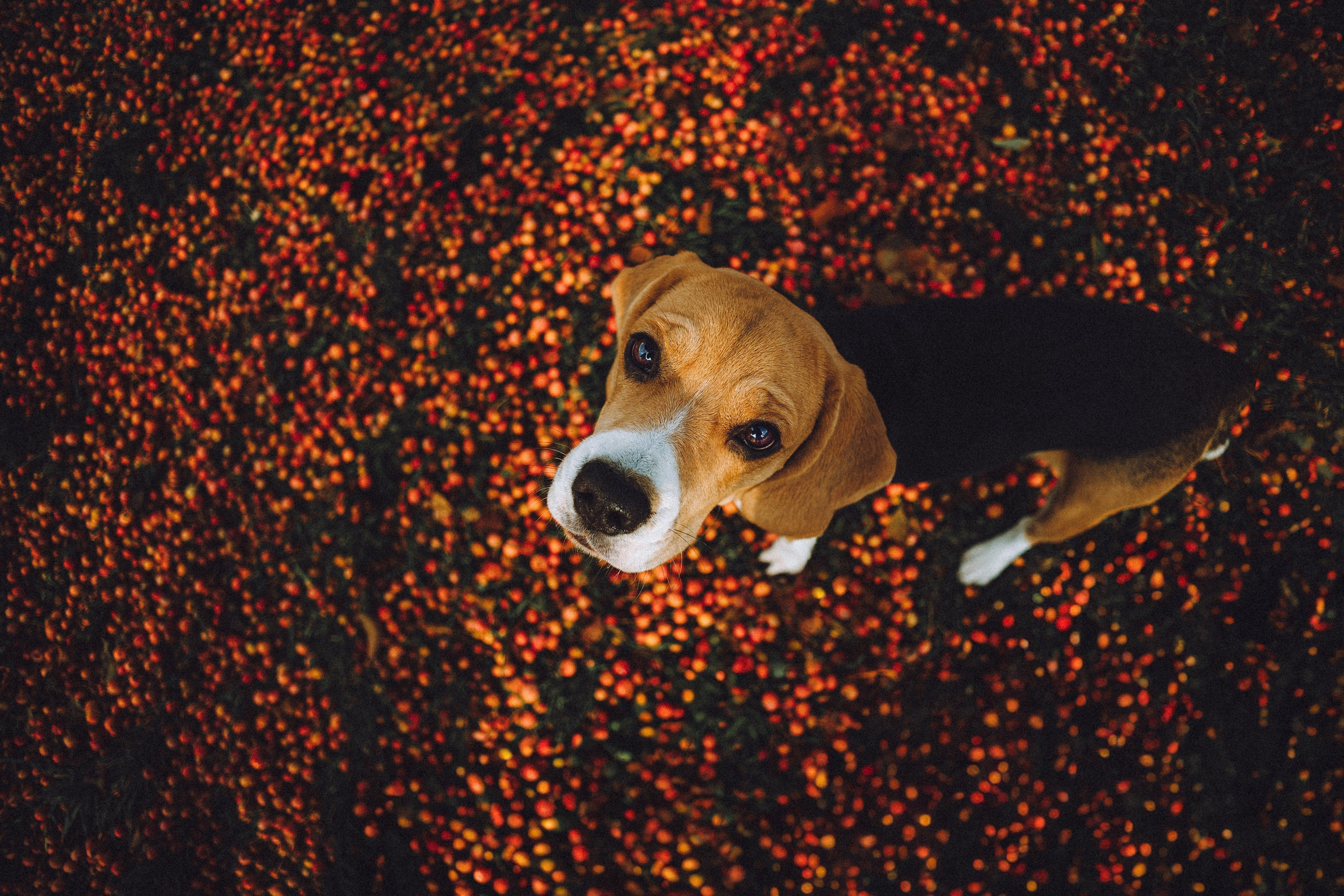 Ксюша и Мэгги