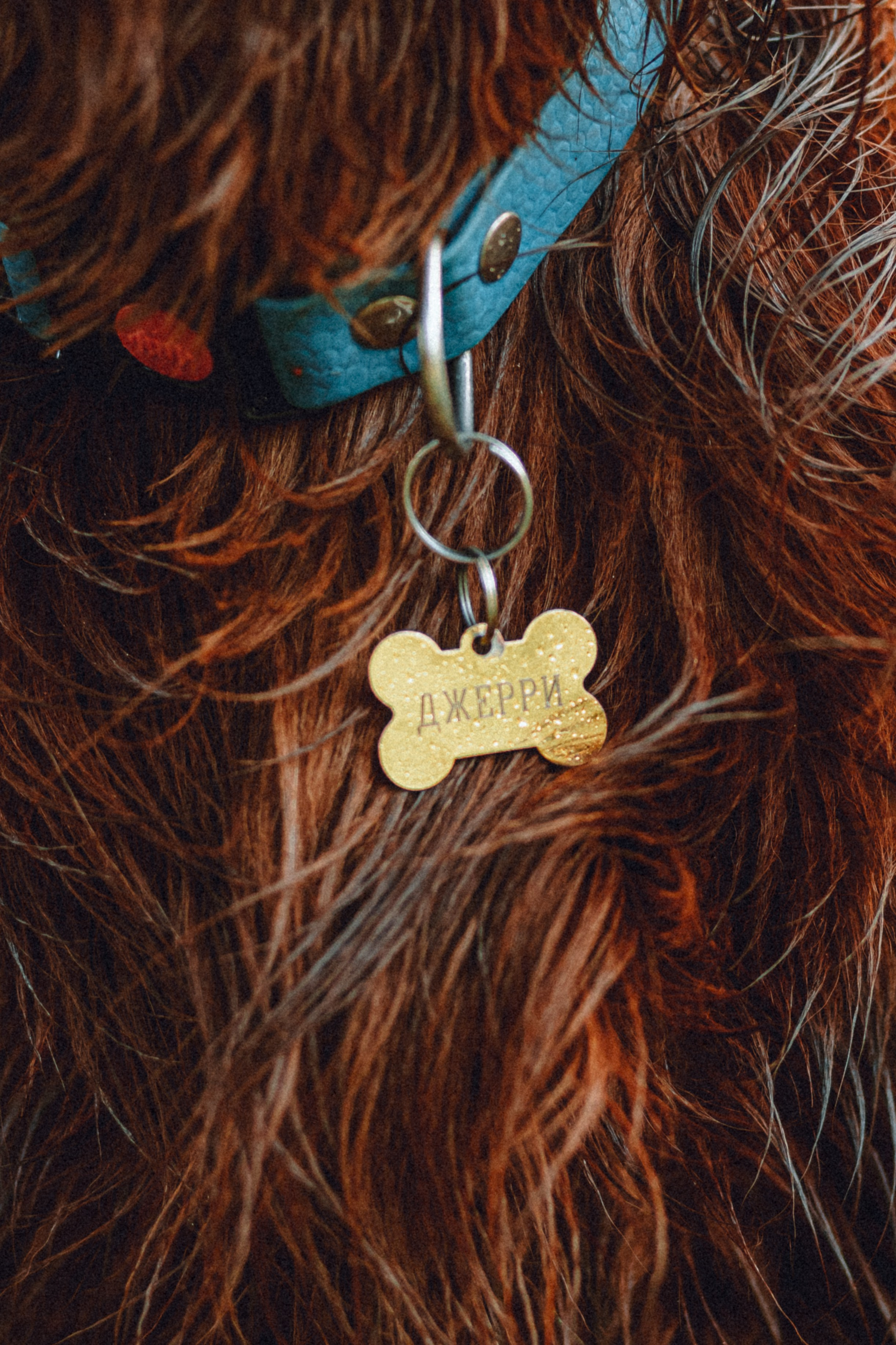 Маша и Джерри