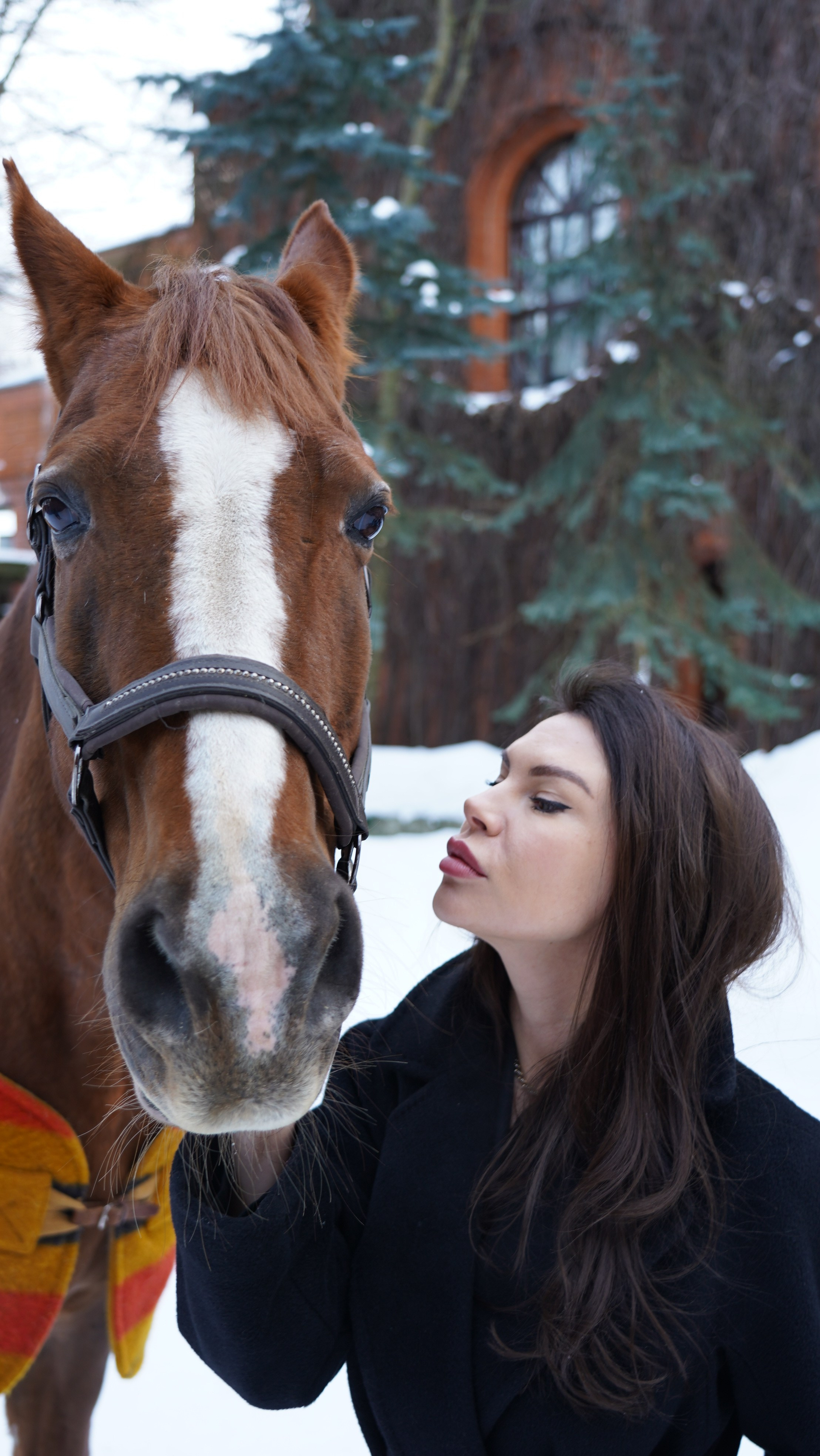 Фотосессия с лошадьми. Главная