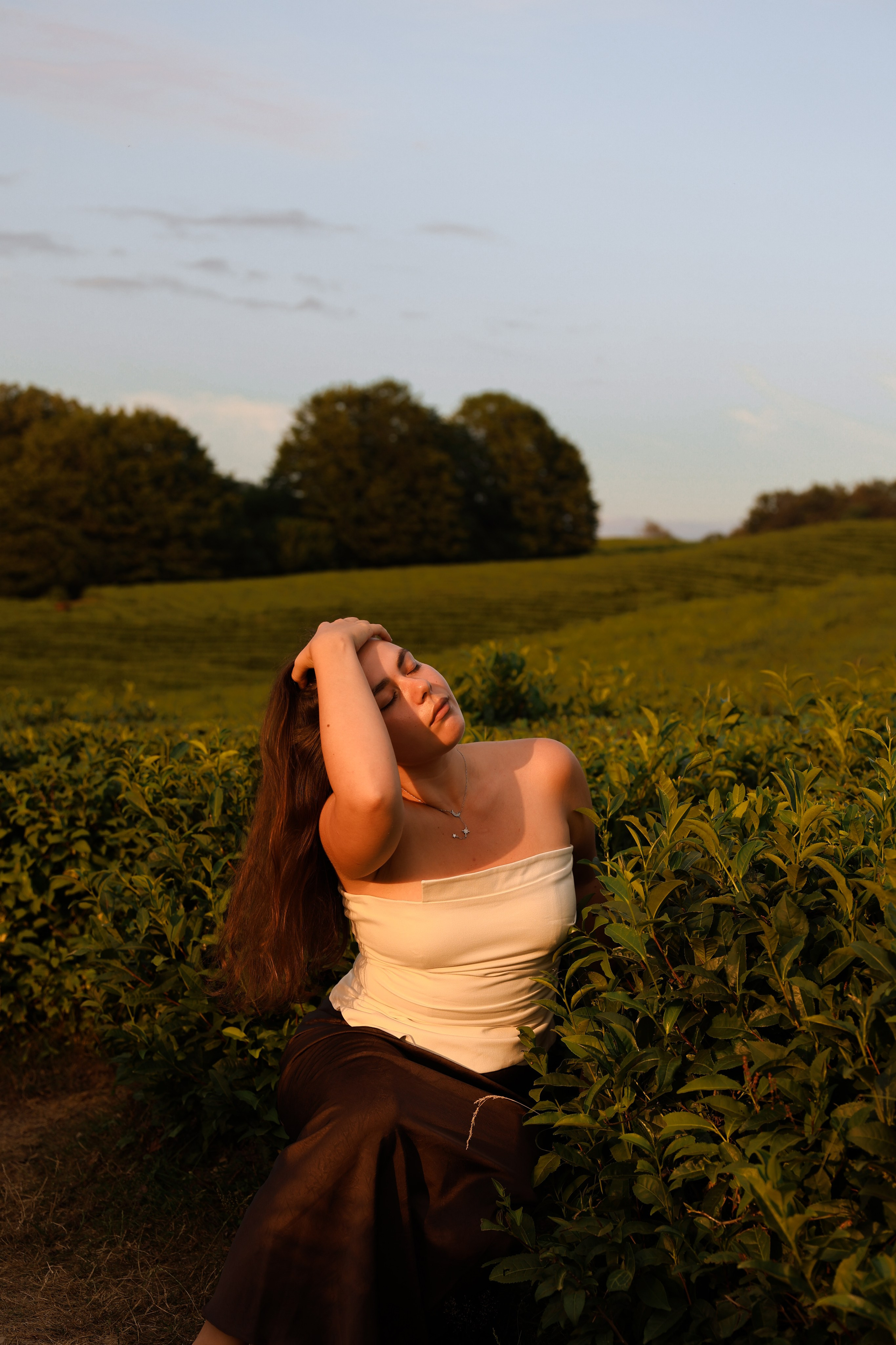 ЧАЙНЫЕ ПЛАНТАЦИИ. Фотограф Москва Оля Олбимак