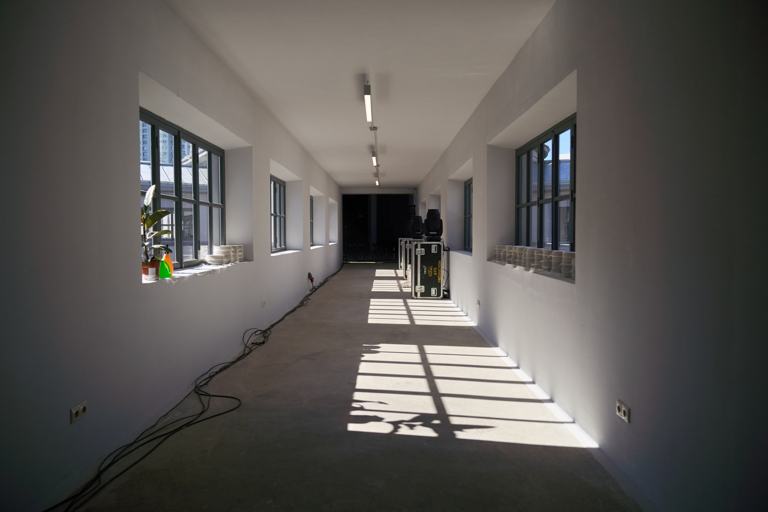 Открытие филиала Третьяковской Галереи. Фотограф Евгений Шаров