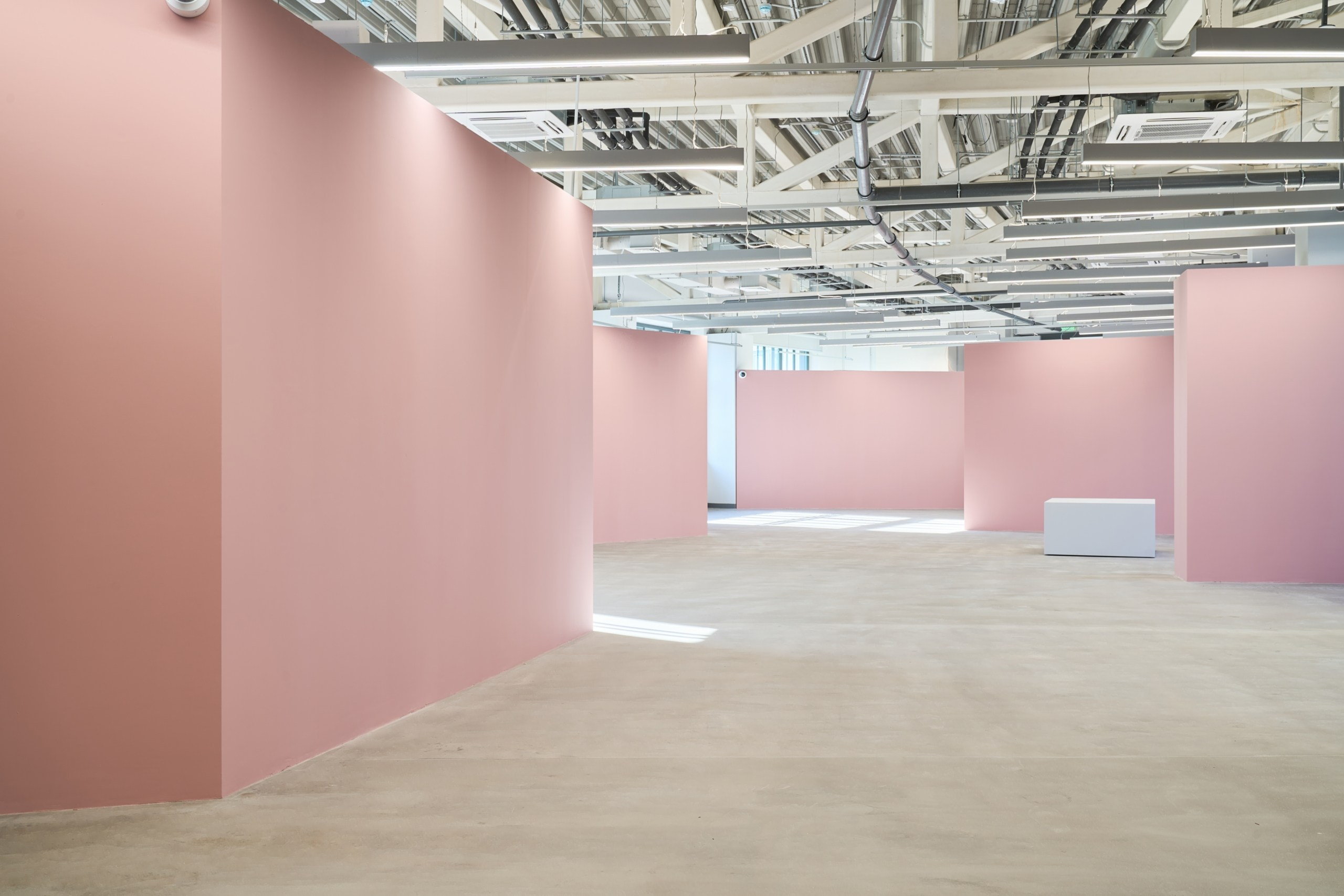 Открытие филиала Третьяковской Галереи. Фотограф Евгений Шаров