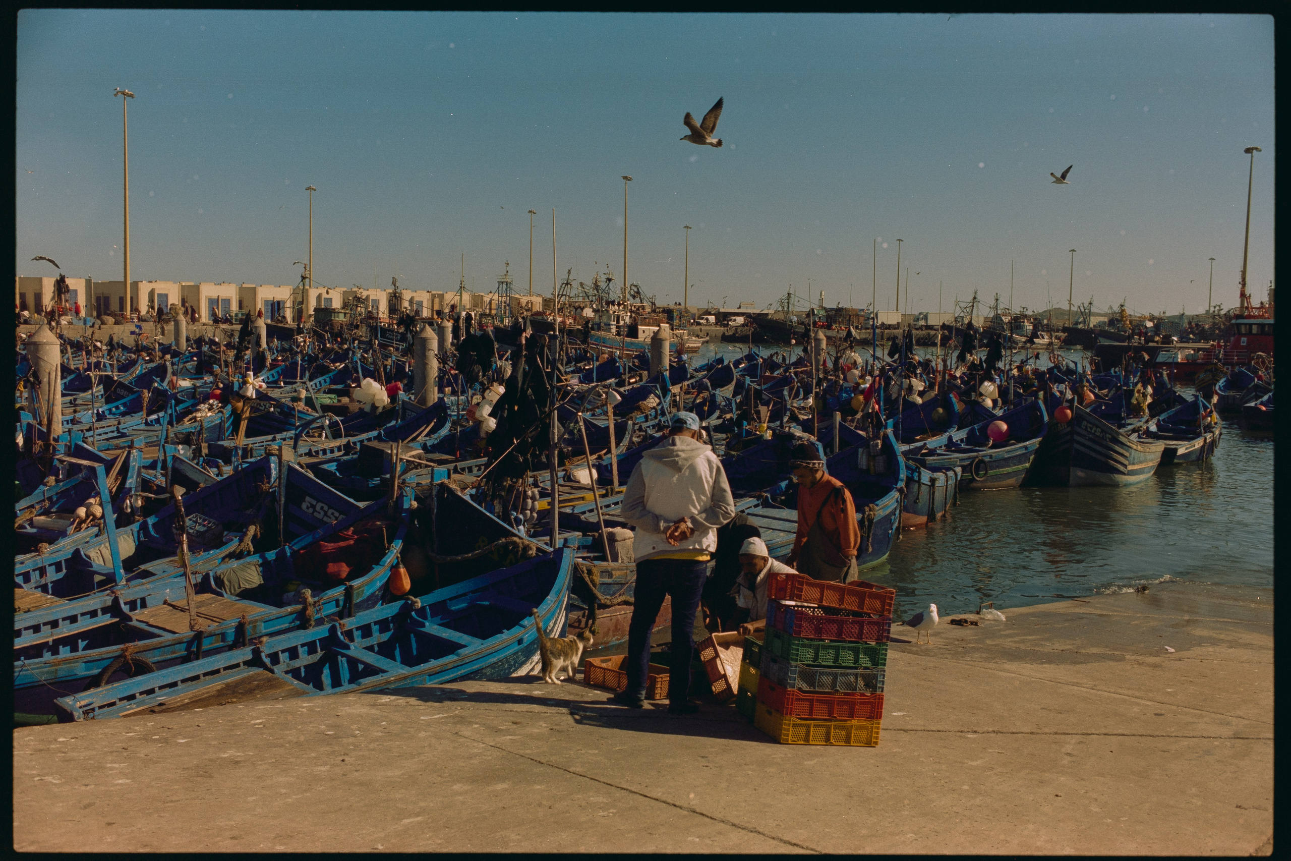 Марокко (плёнка Алёны). Игорь Гичка. Портрет с любовью