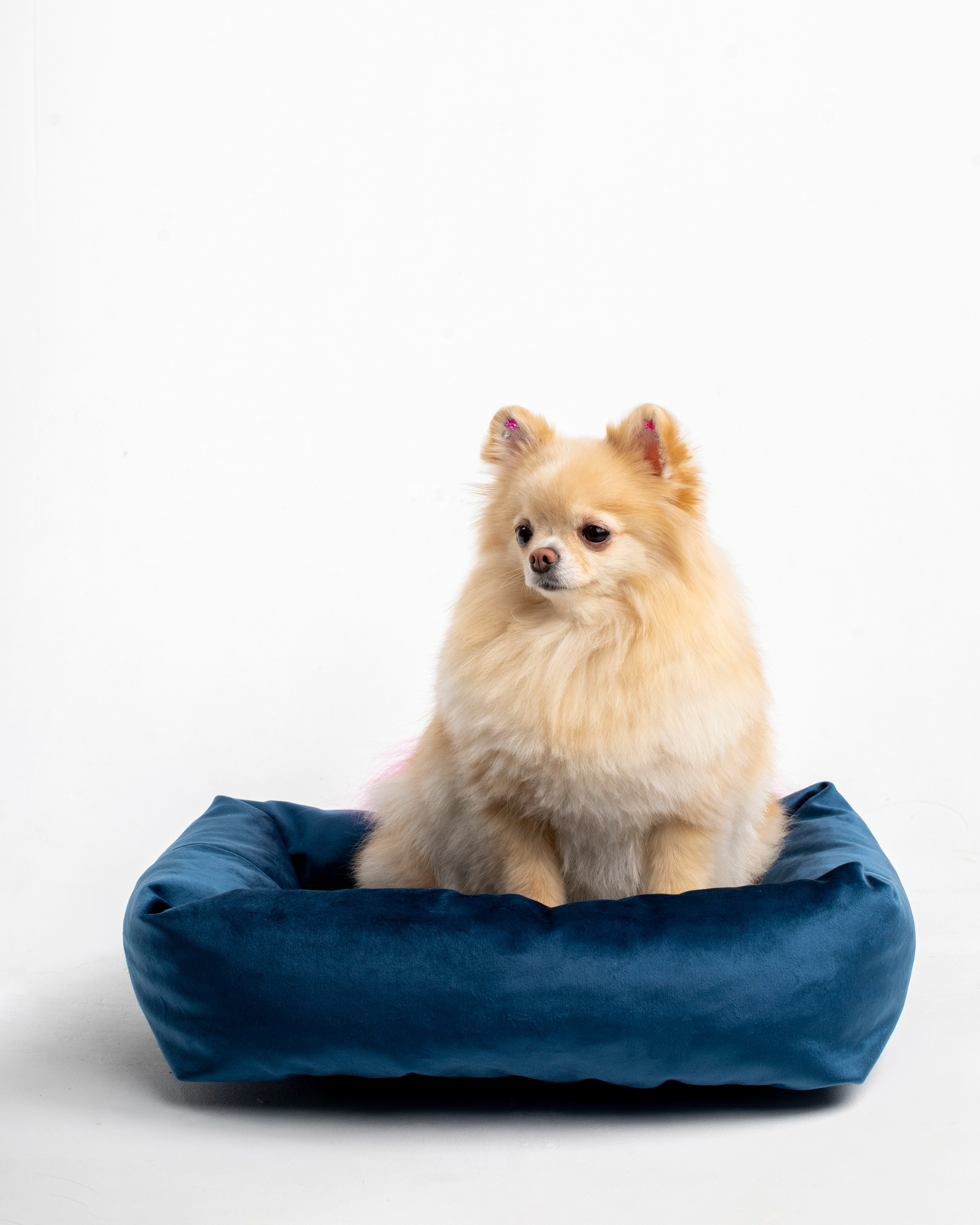 Лежанки для животных. Предметный & фудфотограф Рязань