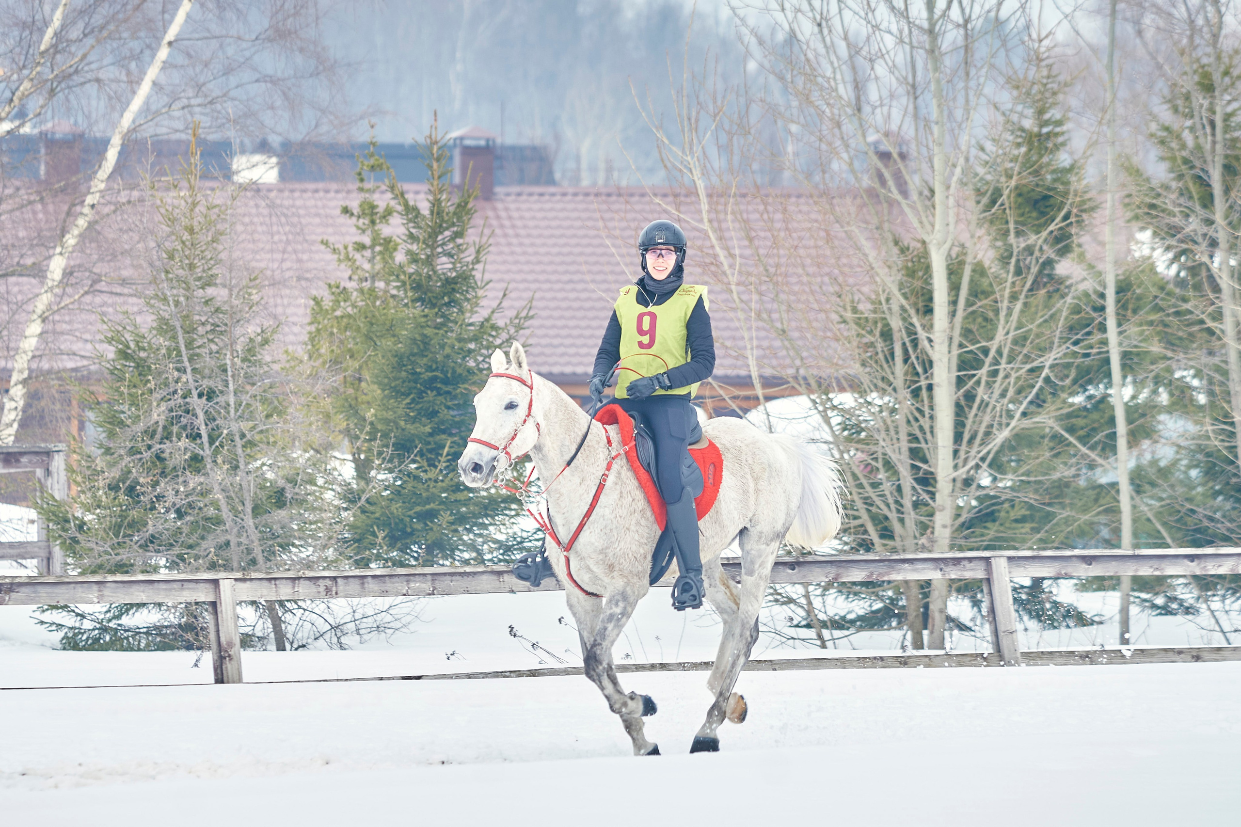 HORSE RACING. Фотограф Наталья Леонова