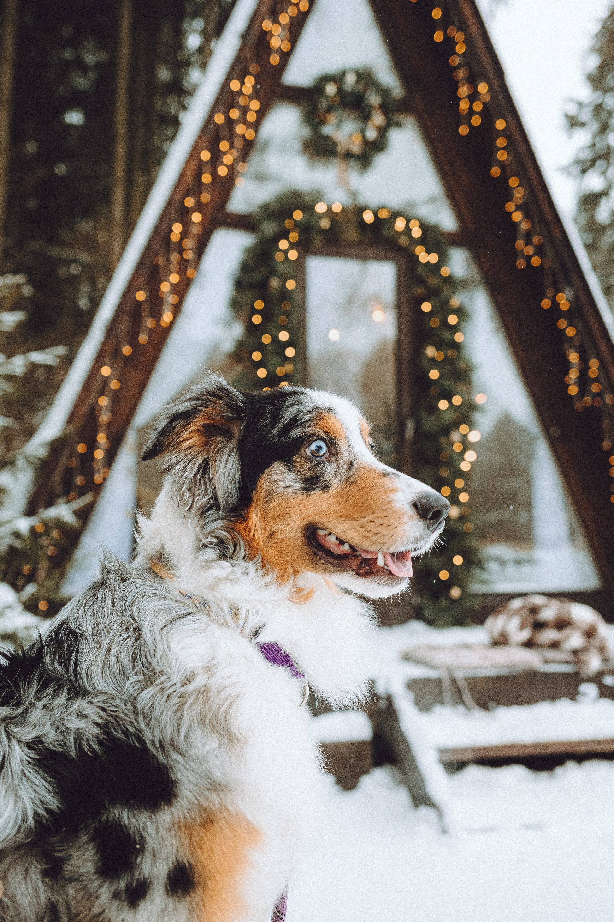 Фаня и ее семья