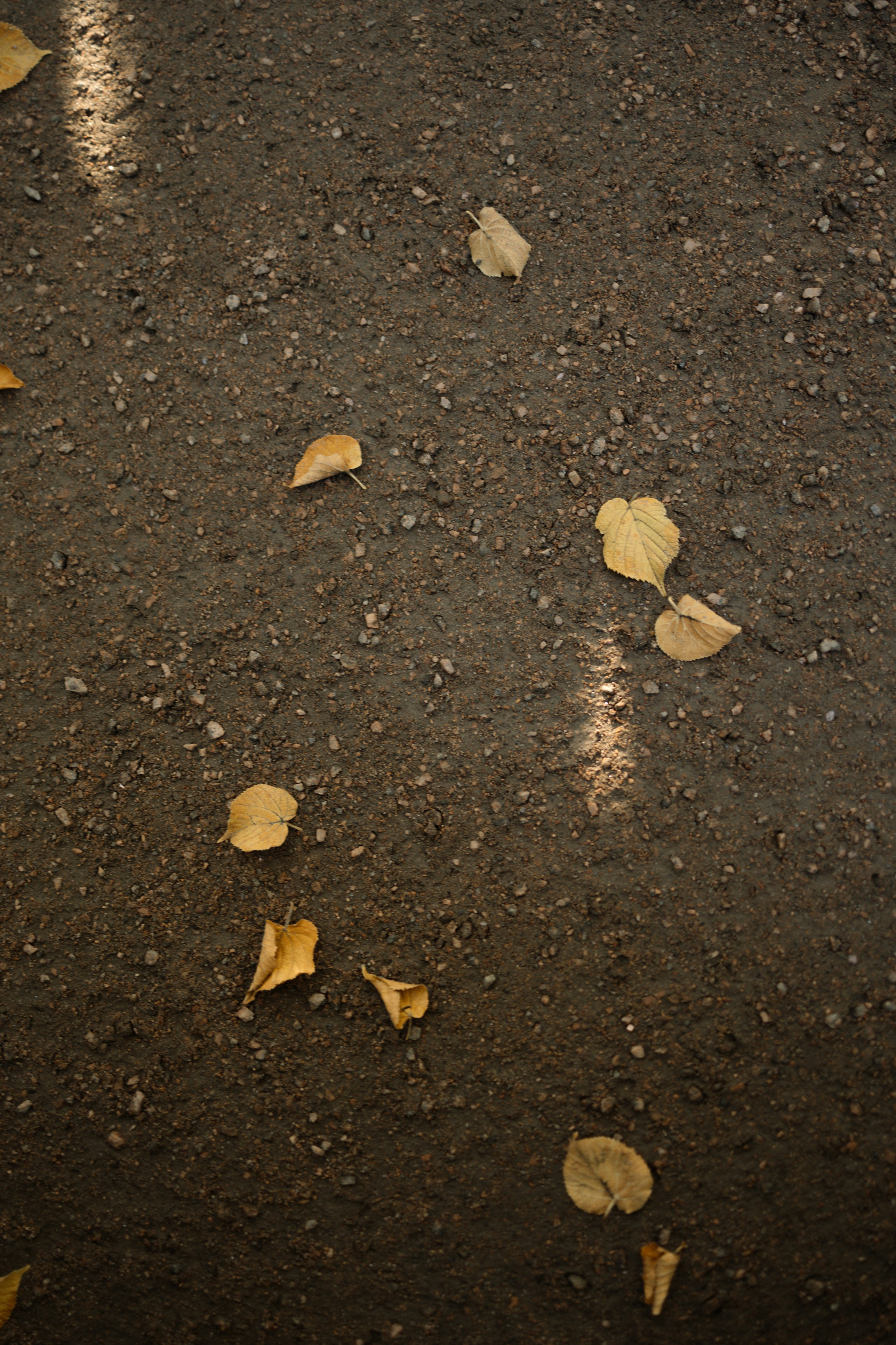 A&N. Свадебный фотограф Лиза Макатович Беларусь Минск