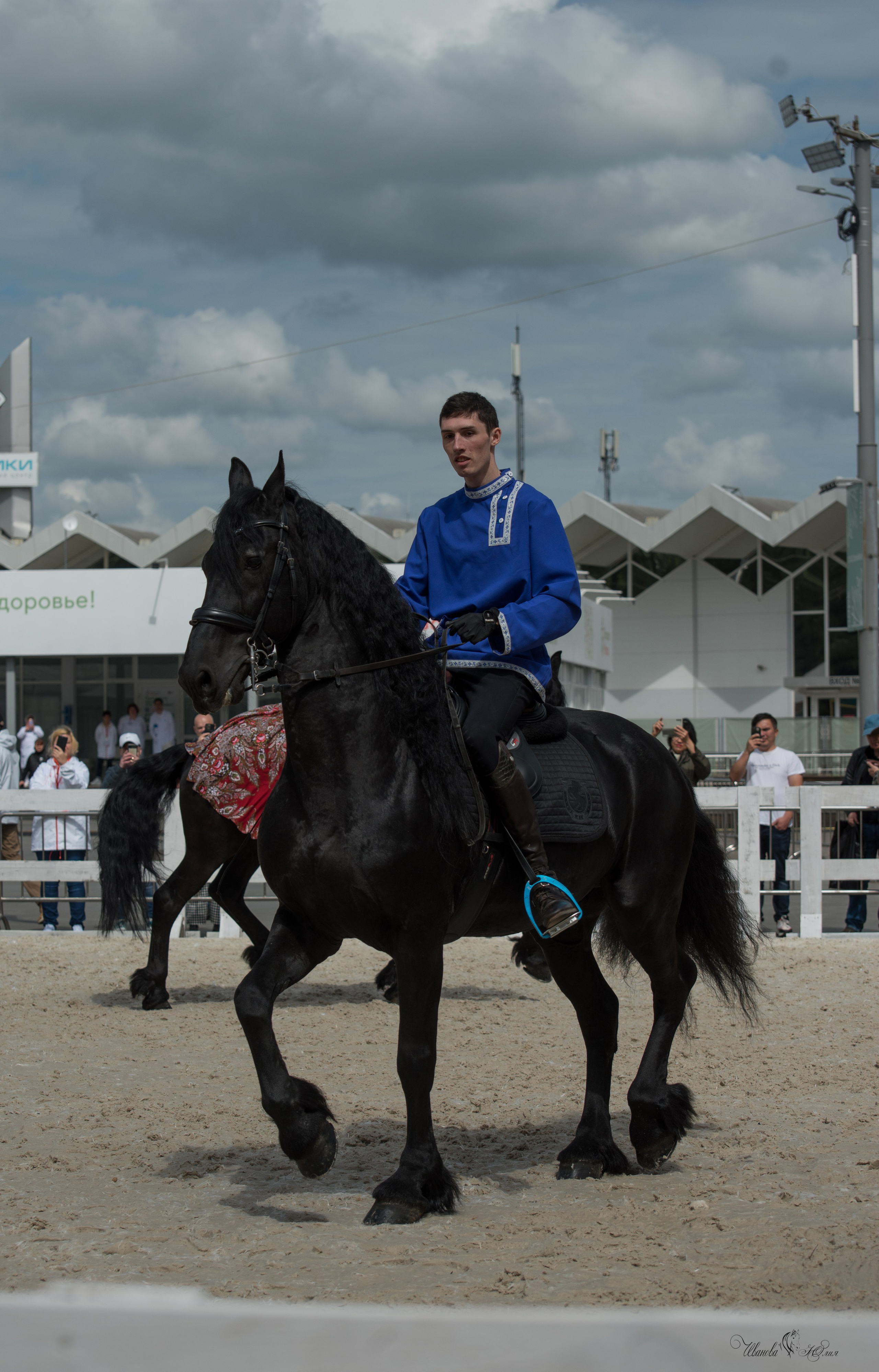 Эквирос, Москва. Конный фотограф в Саратове Юлия Иванова