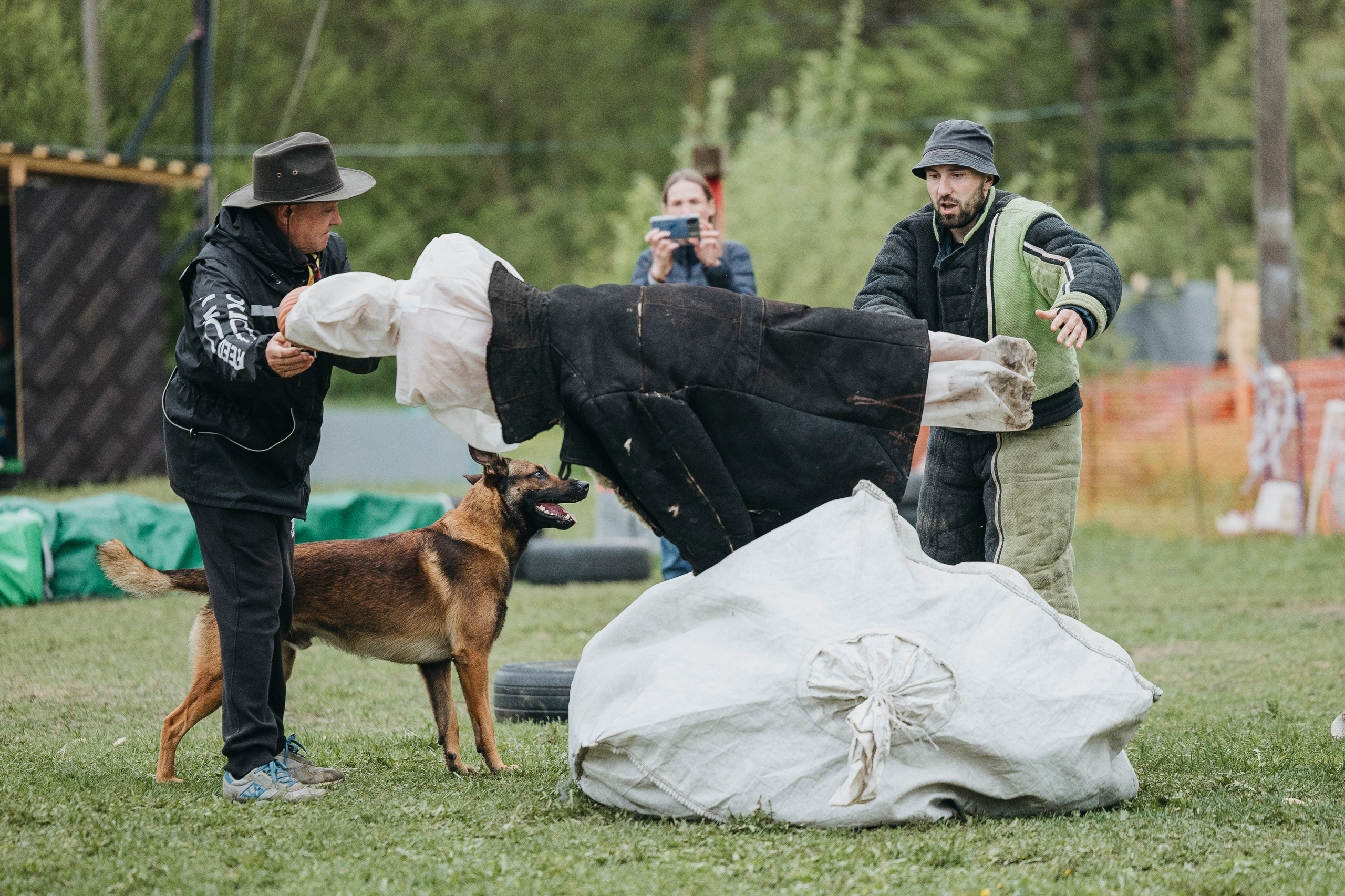 26.05.25 г. Пушкин квалификационные соревнования. Фотограф-анималист Анна Маринич