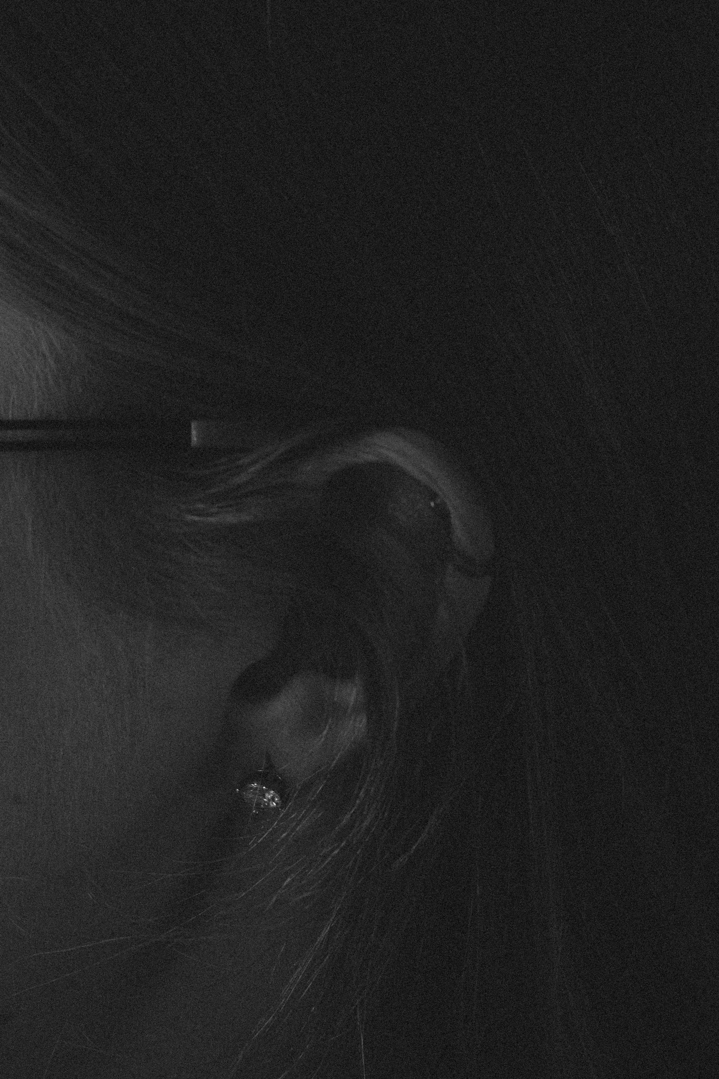 Яна. Фотограф Виктория Куприянова