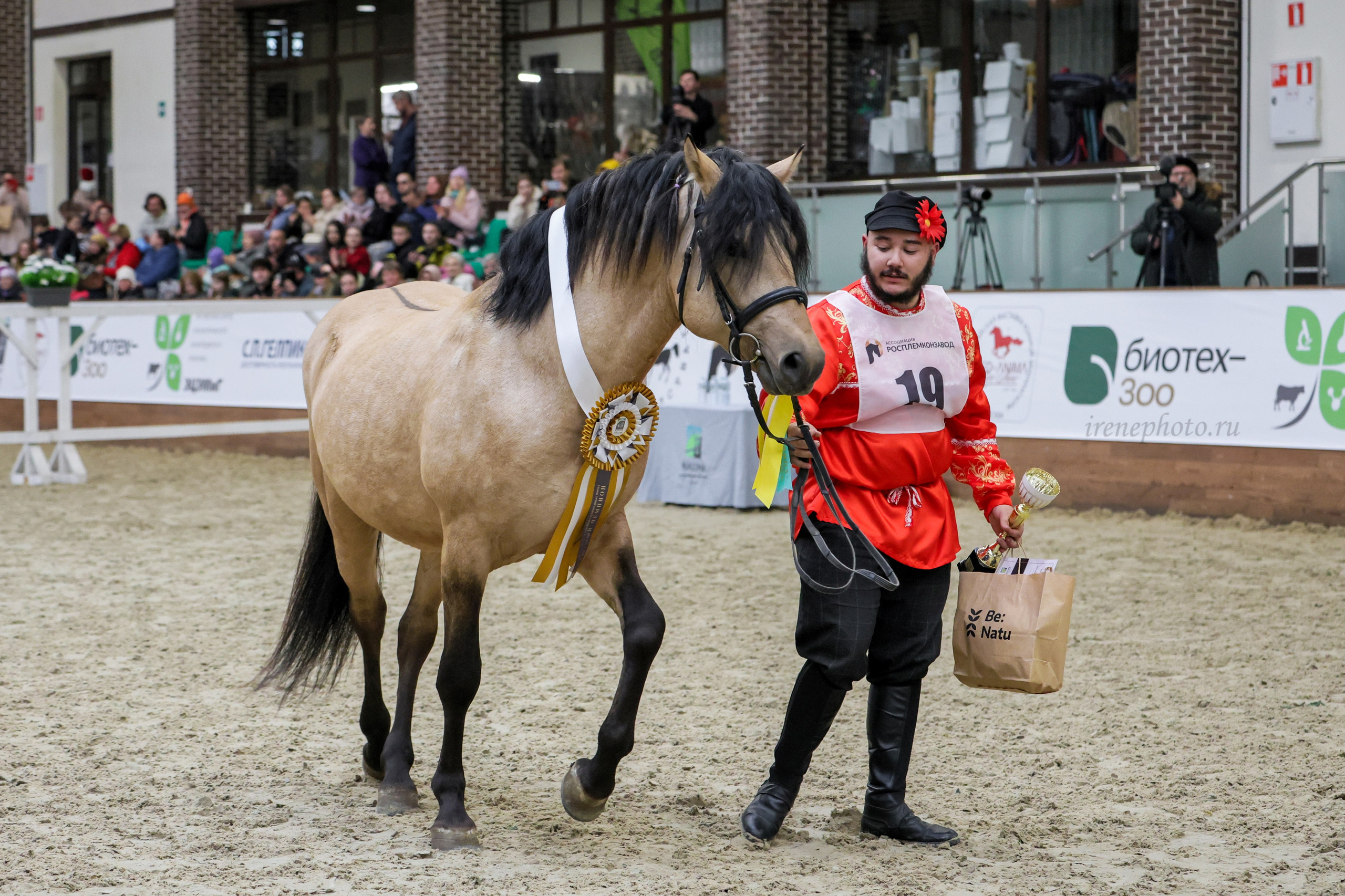 Конная Россия 2024. Irenephoto.ru