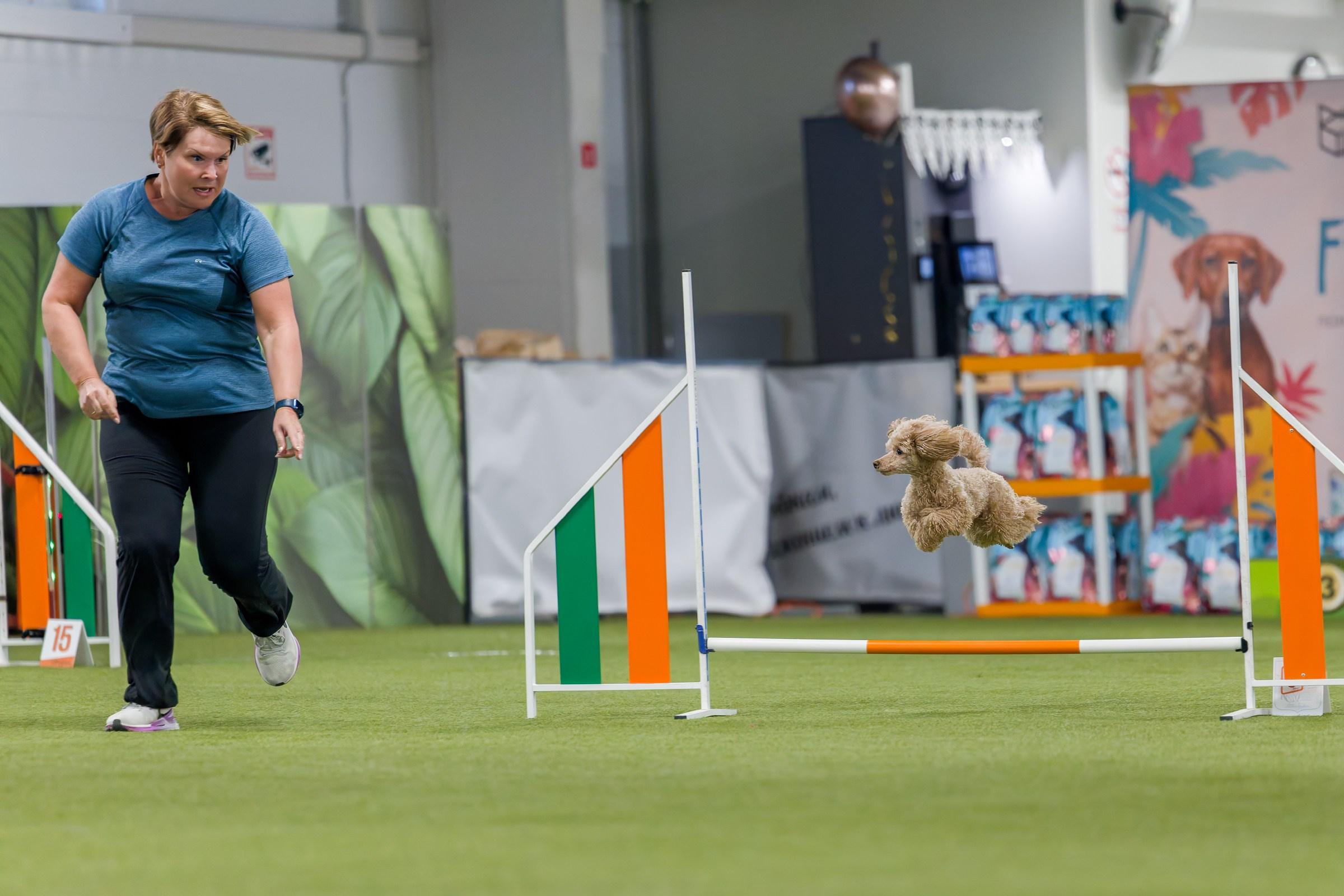 День рождения Пёсбурга — февраль 2025. Irenephoto.ru