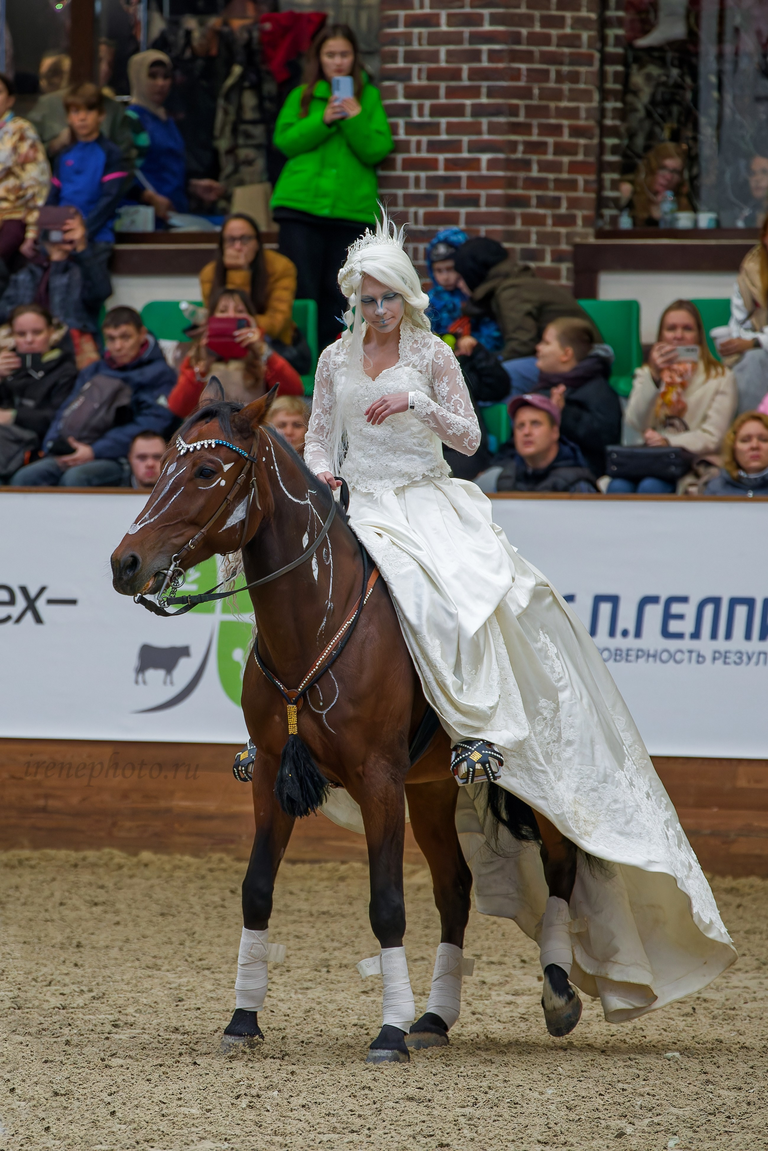 Конная Россия 2024. Irenephoto.ru