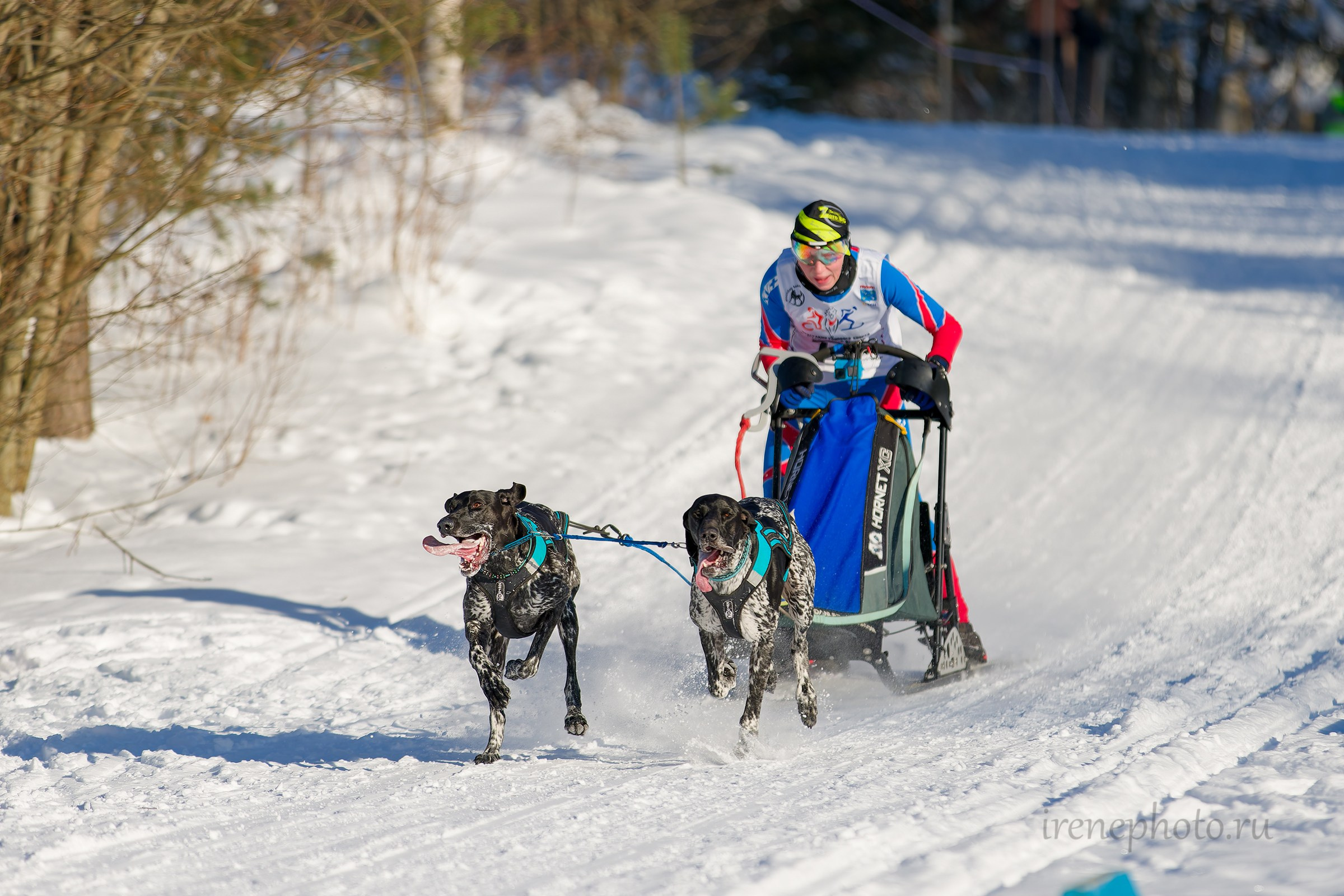 Чемпионат и Первенство Ленобласти — зима 2026. Irenephoto.ru
