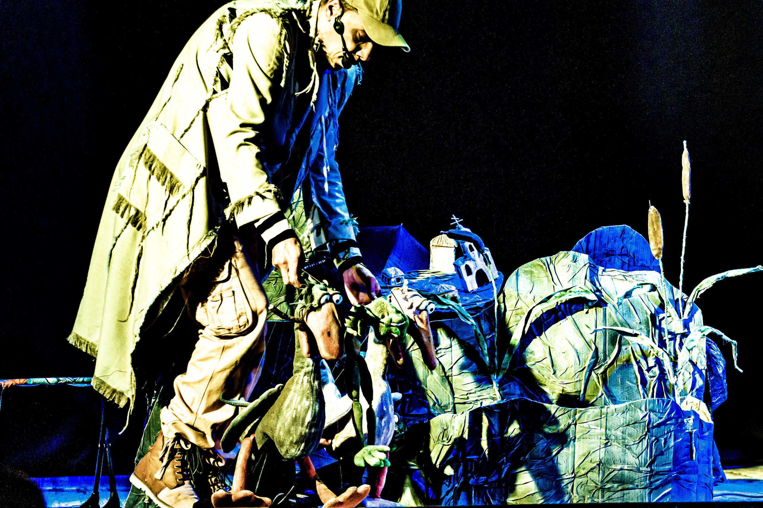 Спектакль театра Саквояж Лягушка путешествиница. Фотограф в Сочи Юрий Шептаев