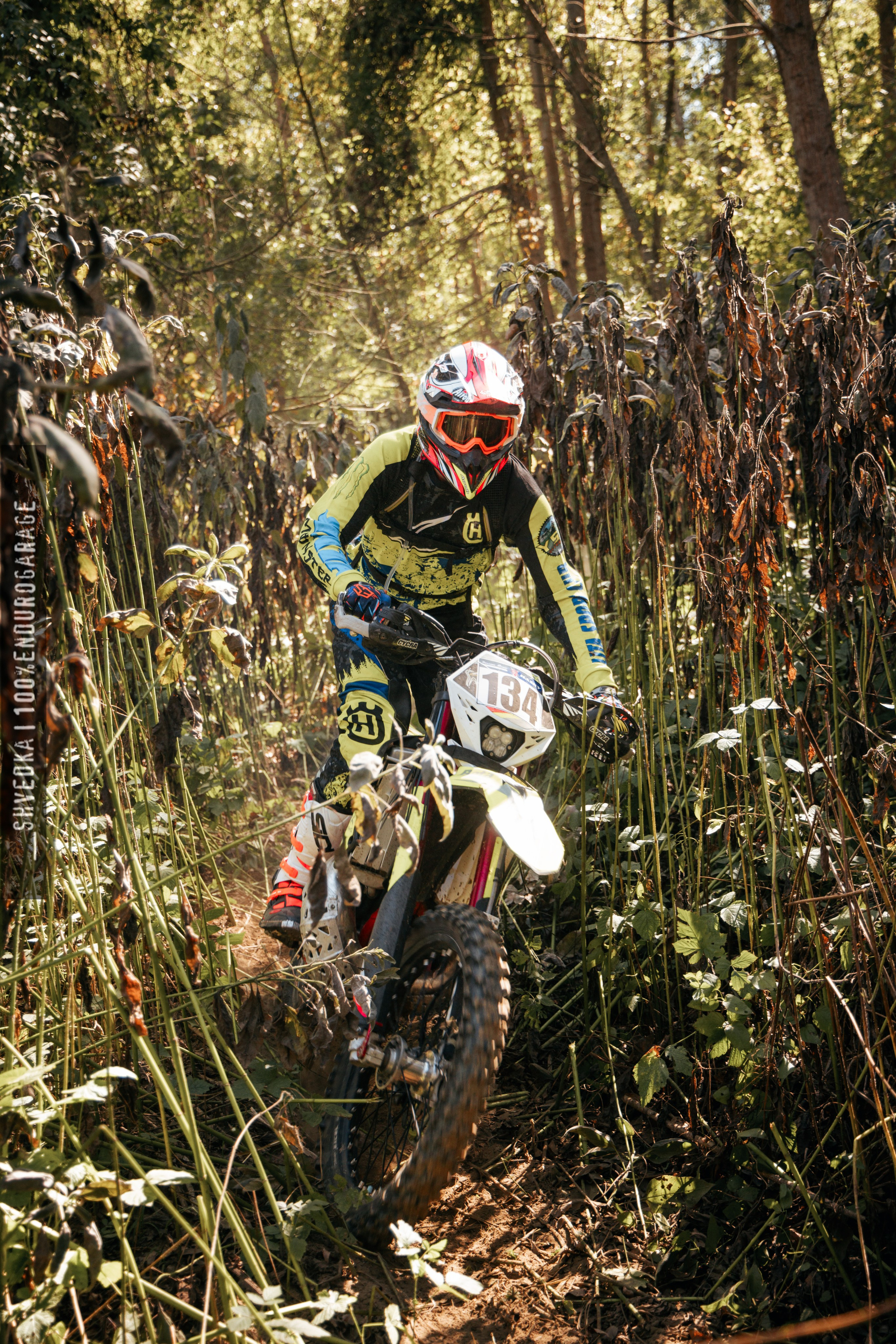 1 лесной день. Ваш экстрим фотограф Кудрева Яна