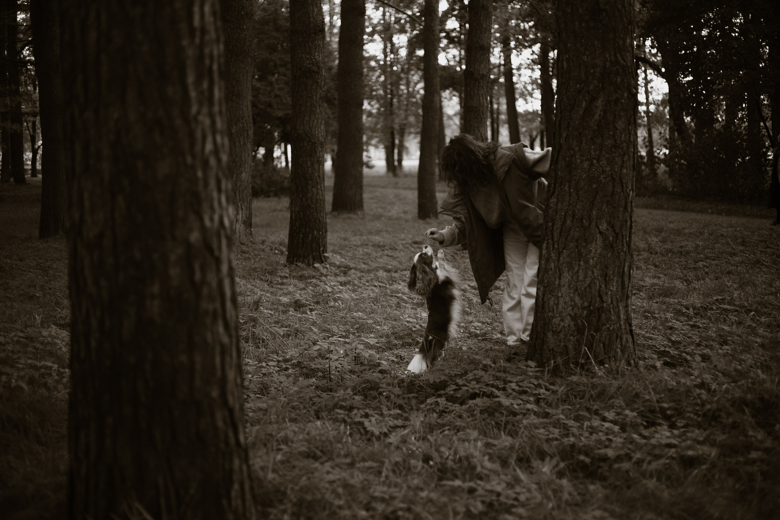 Снежанна и Тесси. Фотограф — анималист •love-story•|Санкт-Петербург