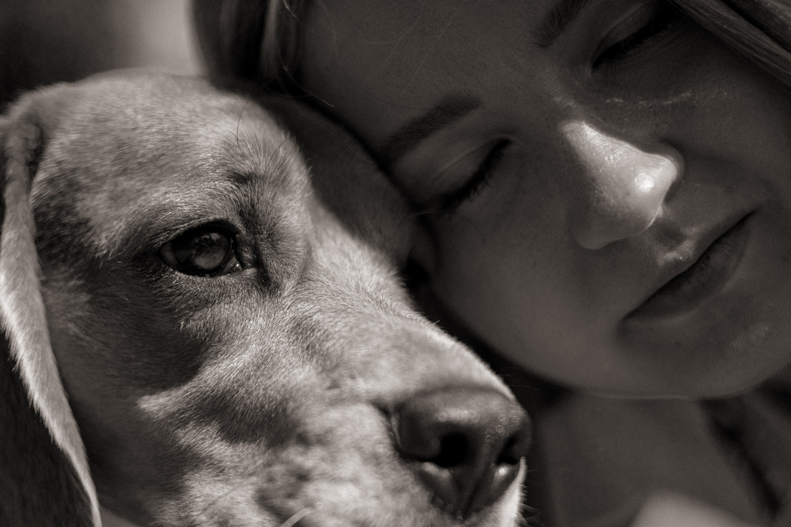 Оуджи и Катя. Фотограф — анималист •love-story•|Санкт-Петербург