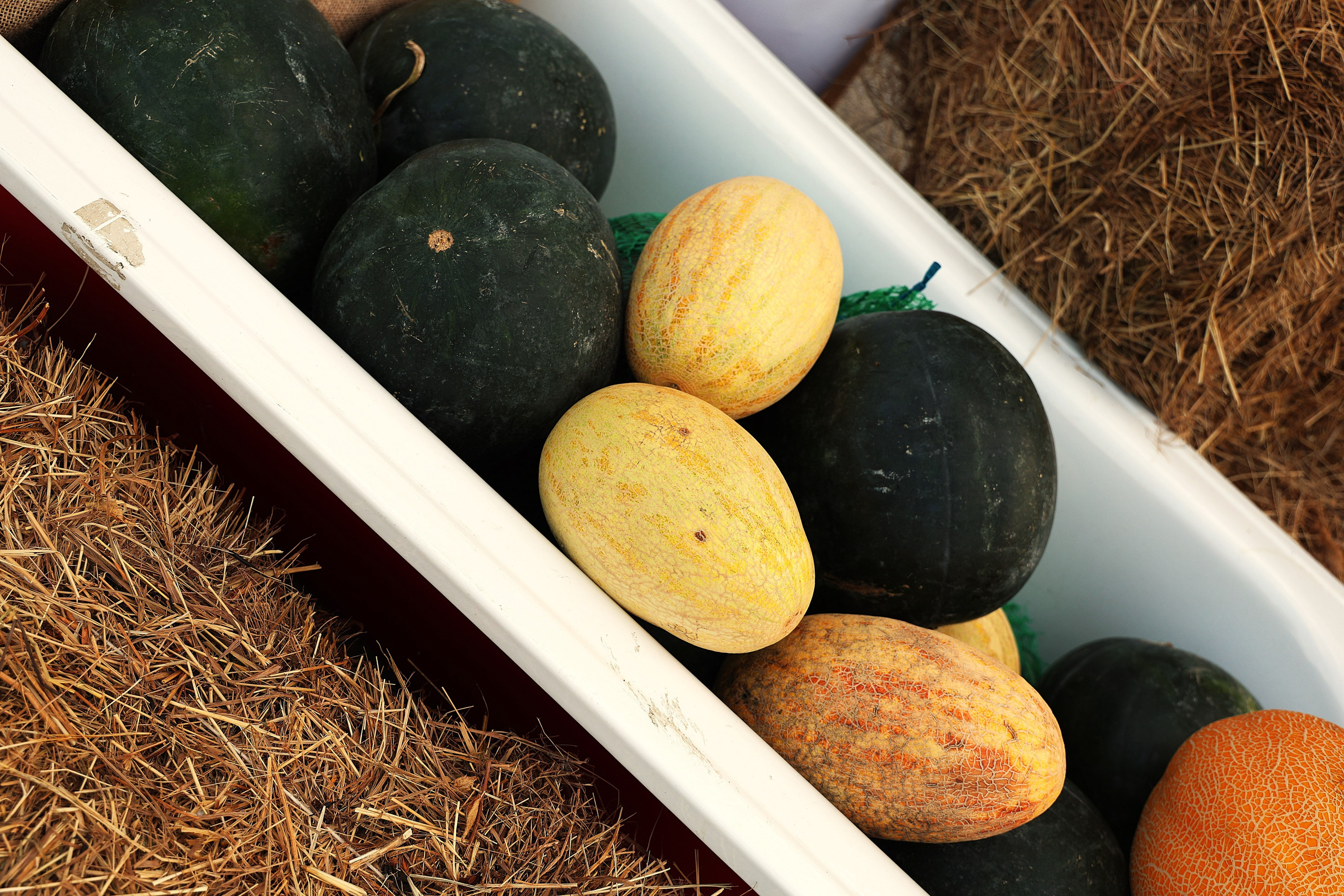 ЛАЛА Фест 23–24 августа в Геленджик Арена!. Фотограф в Геленджике Нина Небесная