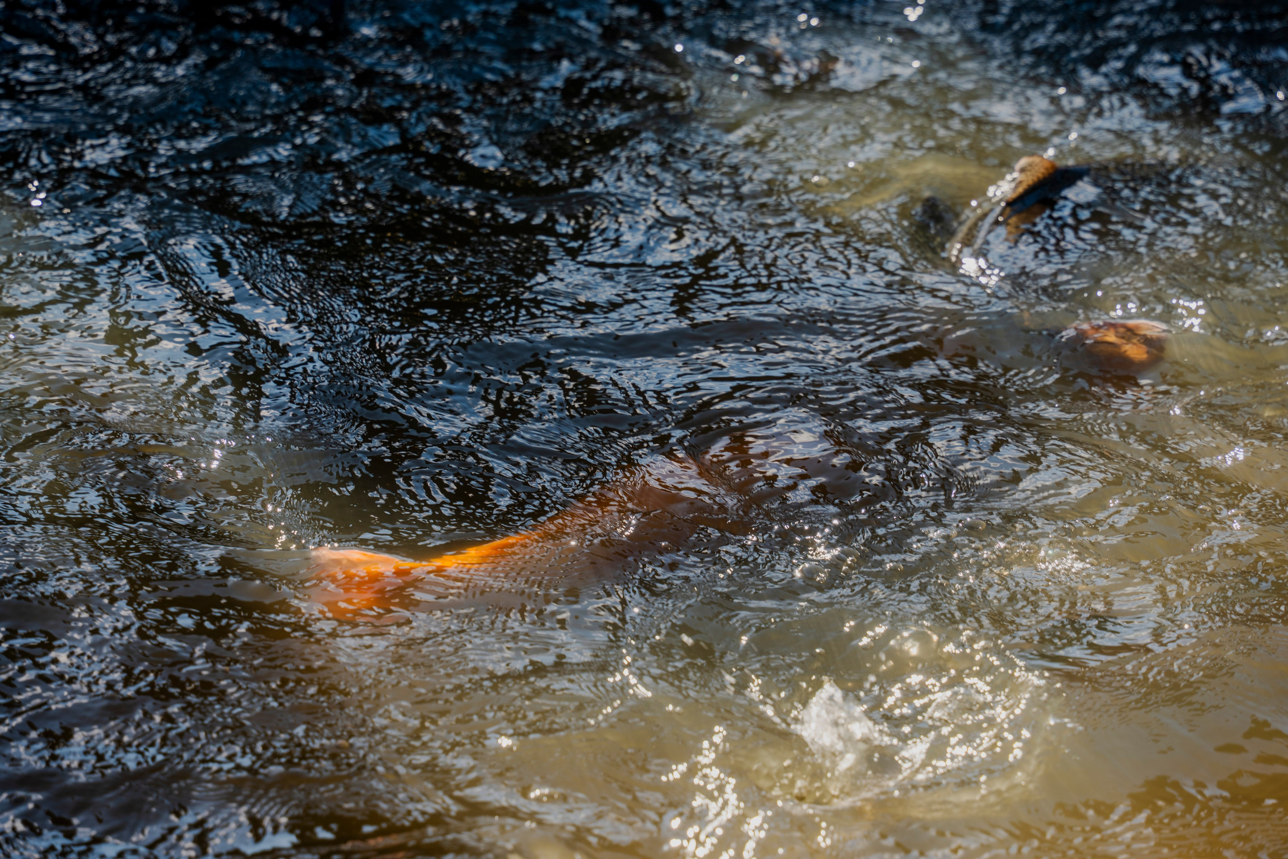 Открытие Спорт зоны в «Водопаде»🐟. Свет, камера, улыбка!