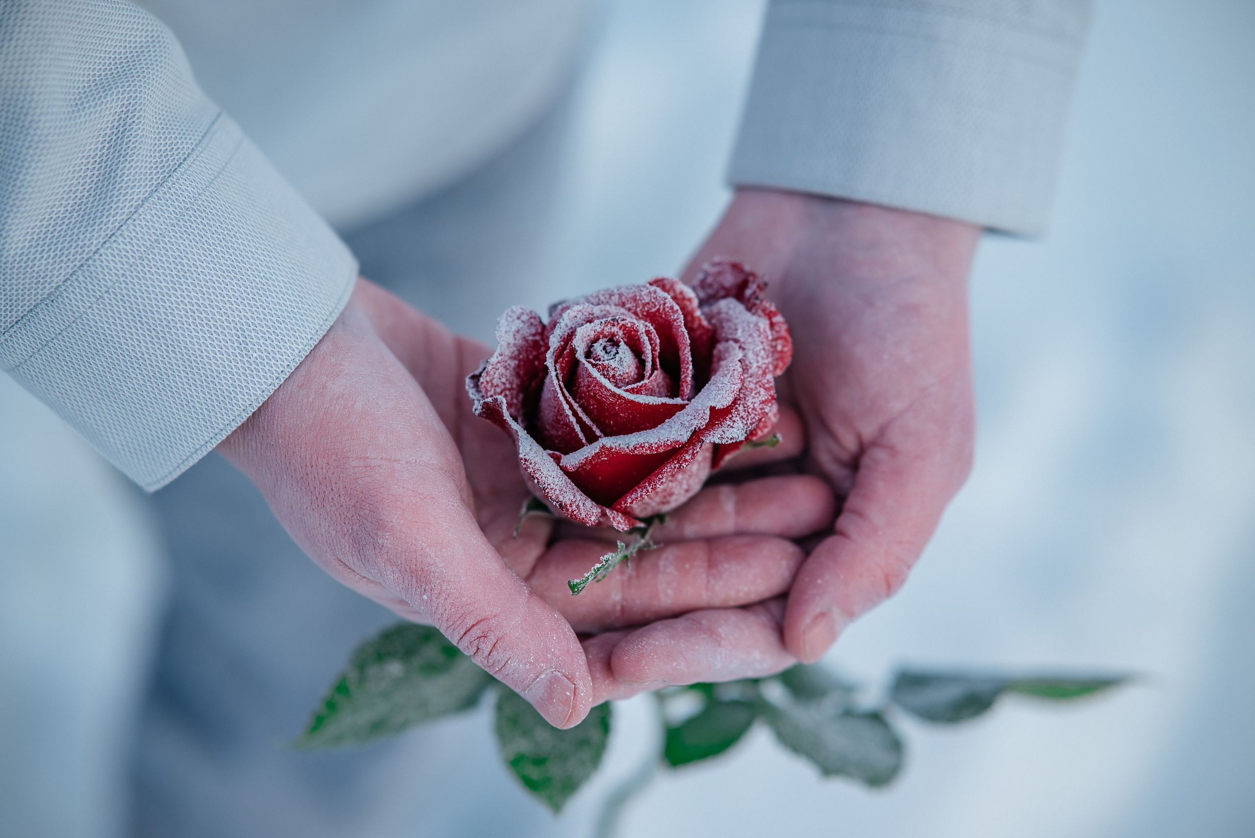 Замерзший. Свадебный и семейный фотограф в Дзержинске Екатерина Шулакова