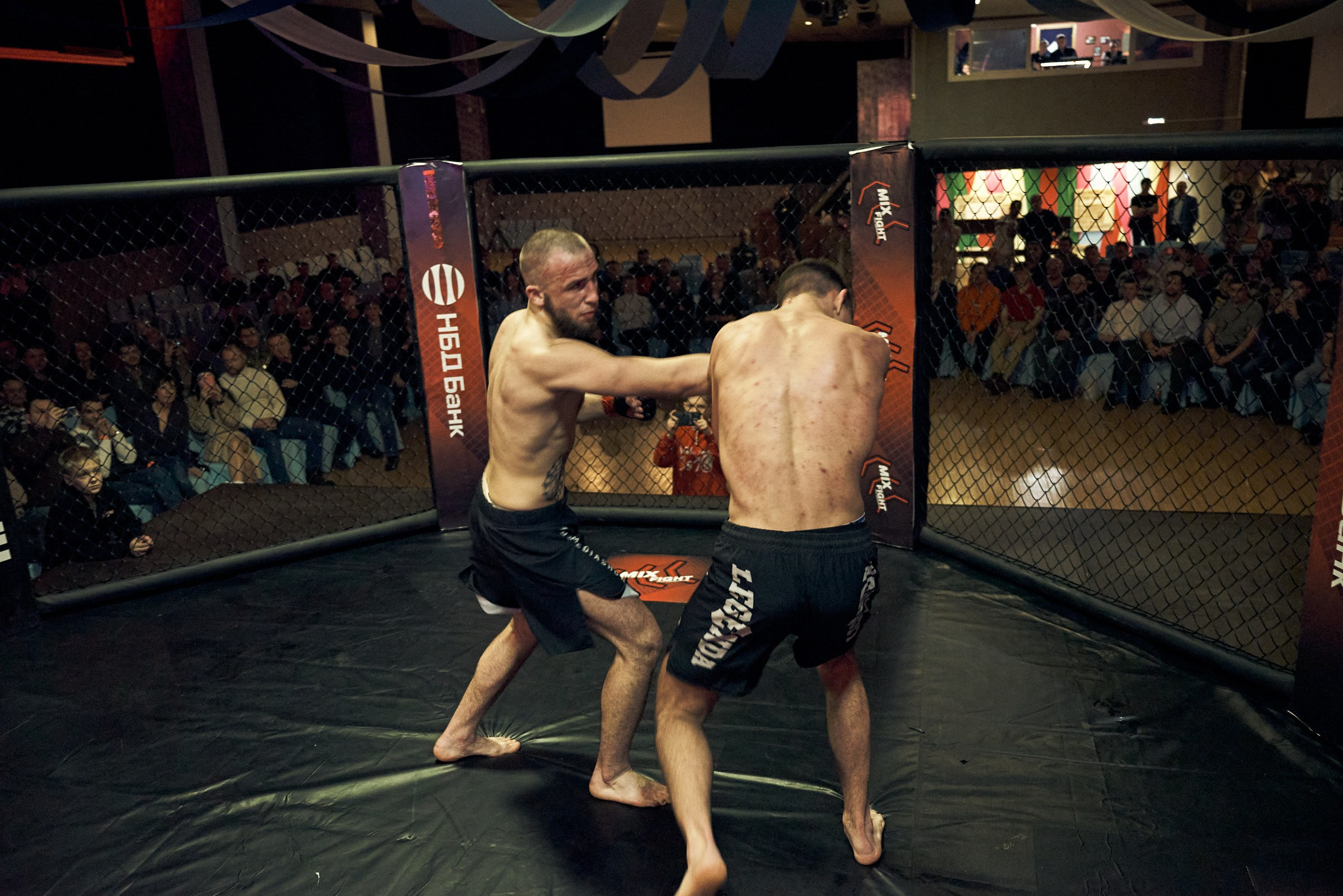 Бои. Маляревич Дмитрий свадебный фотограф