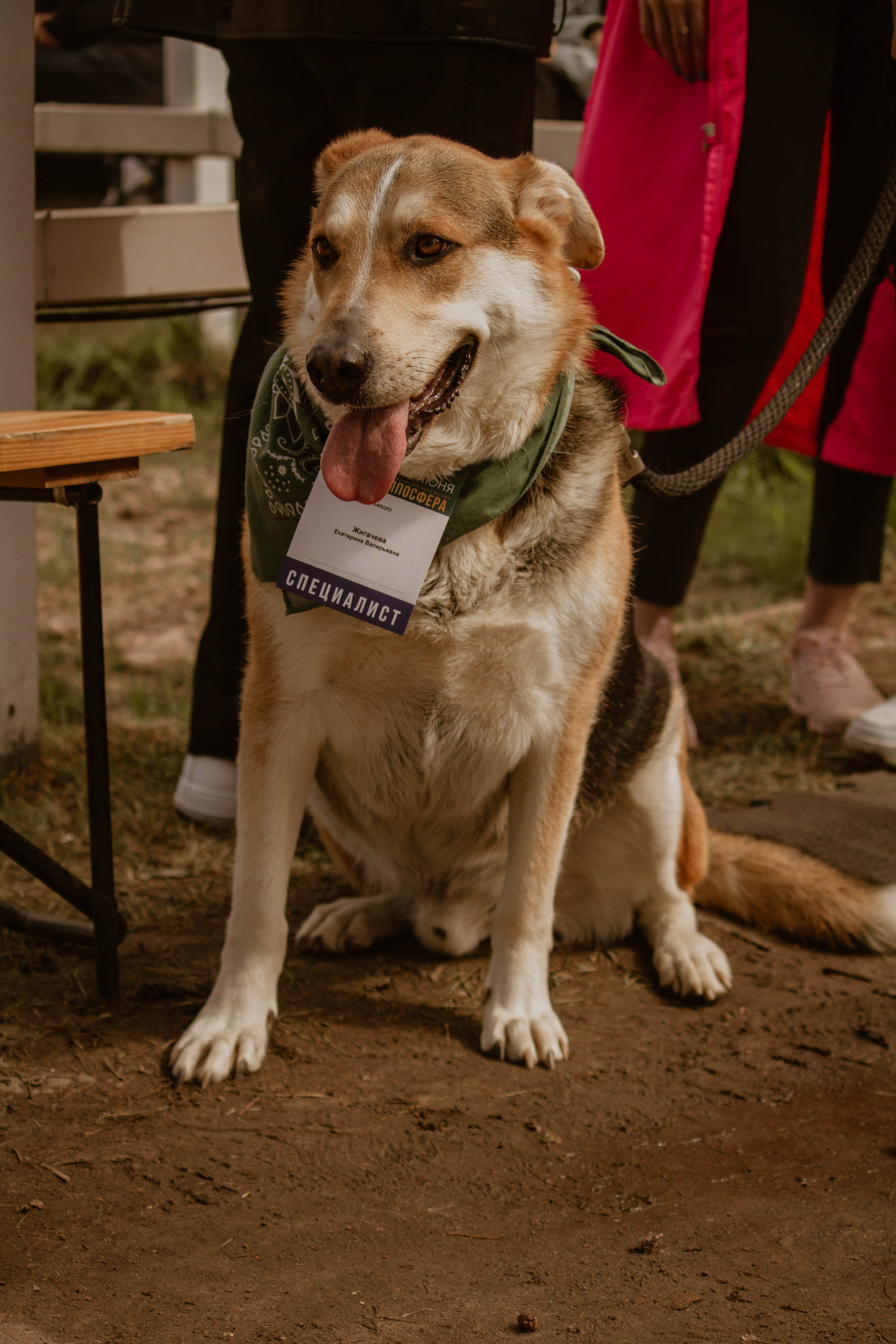 ИППОСФЕРА — Международная конная выставка. Создадим шедевр? Виталина и её фотоискусство