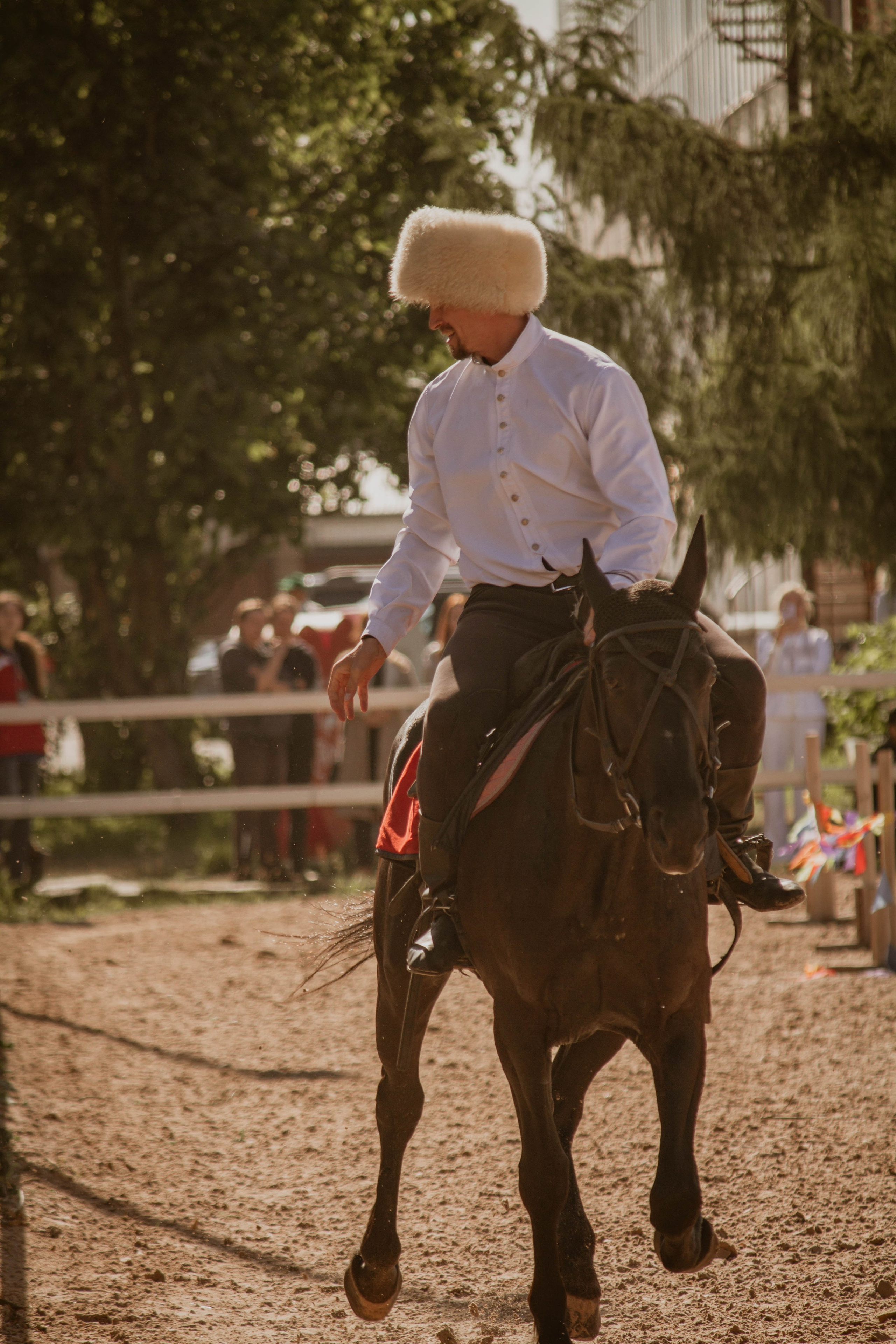 ИППОСФЕРА — Международная конная выставка. Создадим шедевр? Виталина и её фотоискусство