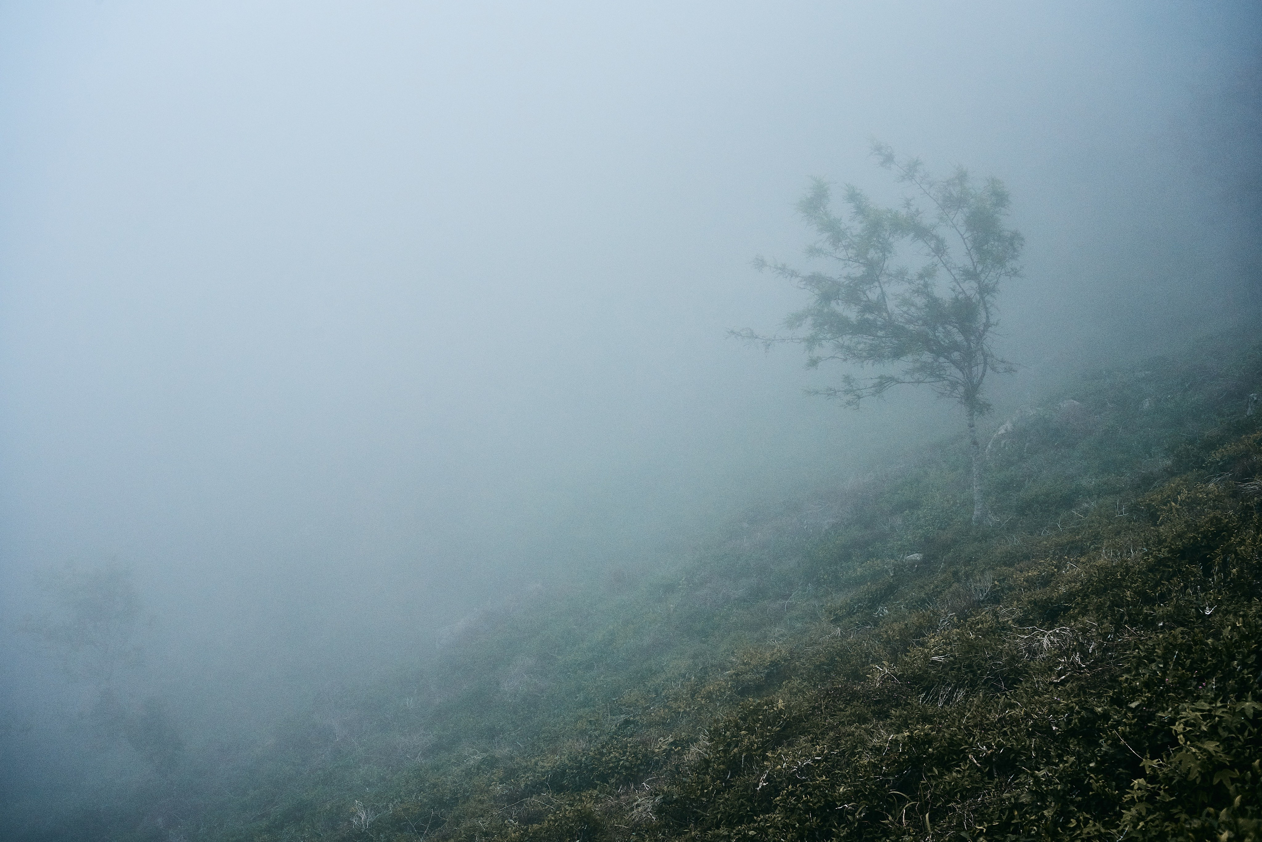 Moto Trip 23-05-19. Никита Хохловский фото и видео продакшн