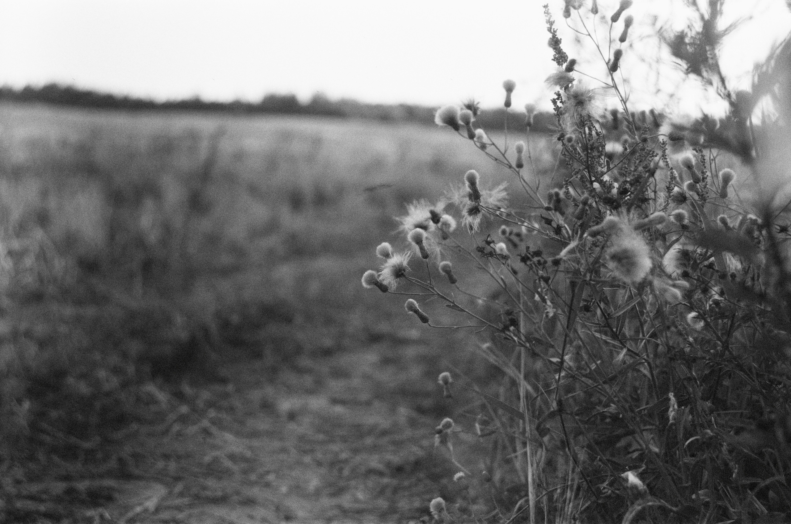Чб пленка. Событийный фотограф в Москве Юлия Папиянц