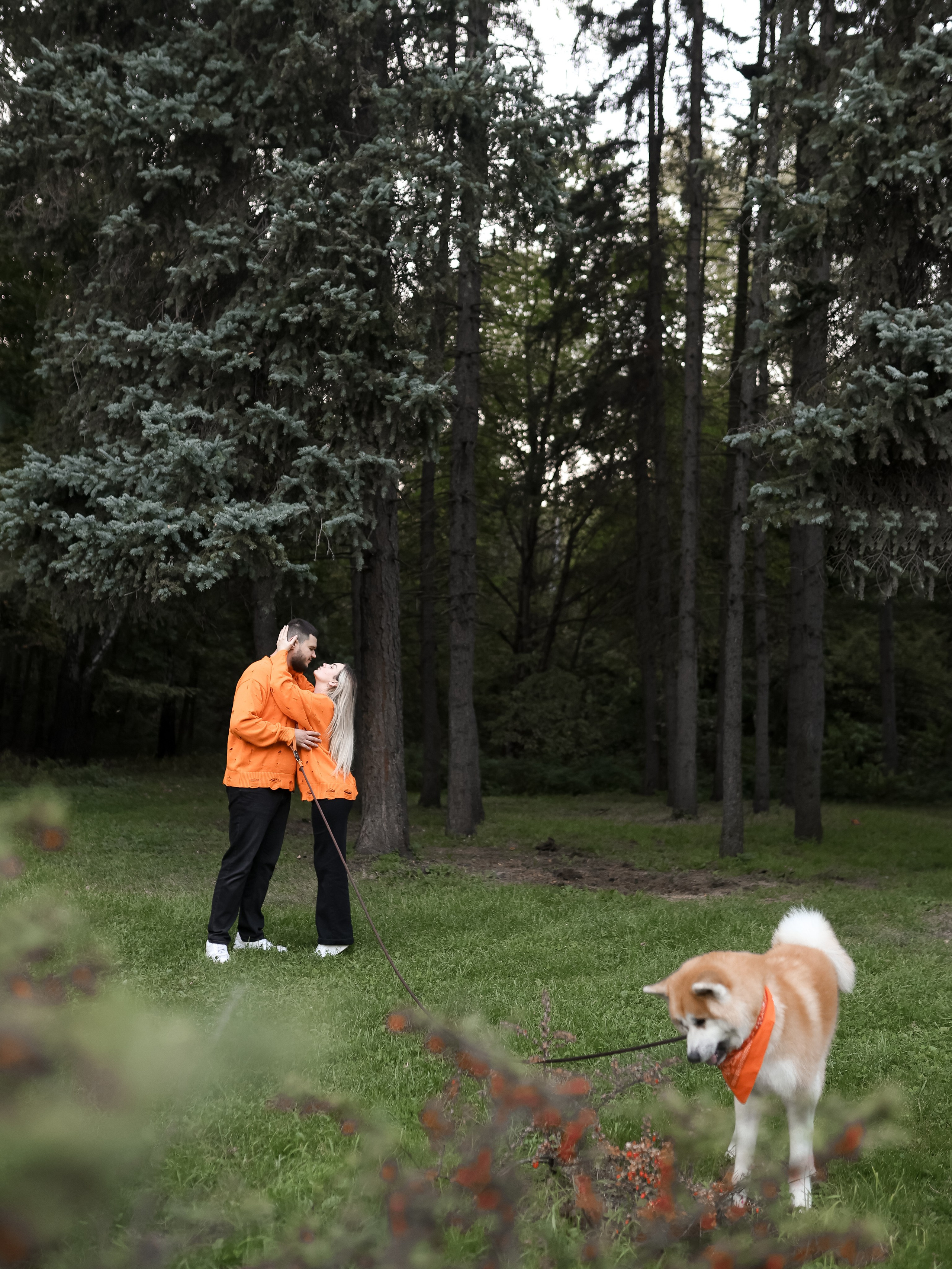Гранд, Вика и Степан. Фотограф-анималист в Москве Кириллова Татьяна